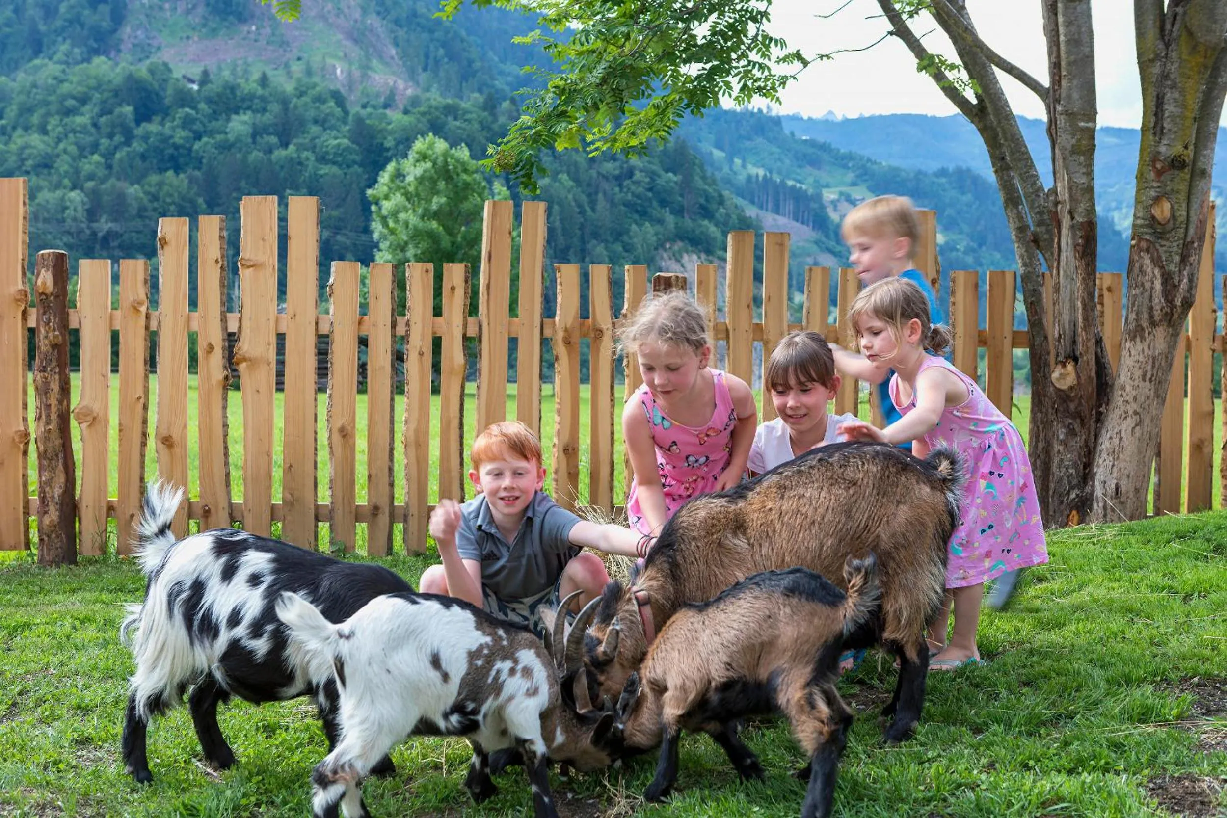 Animals in Lerchs Landhotel