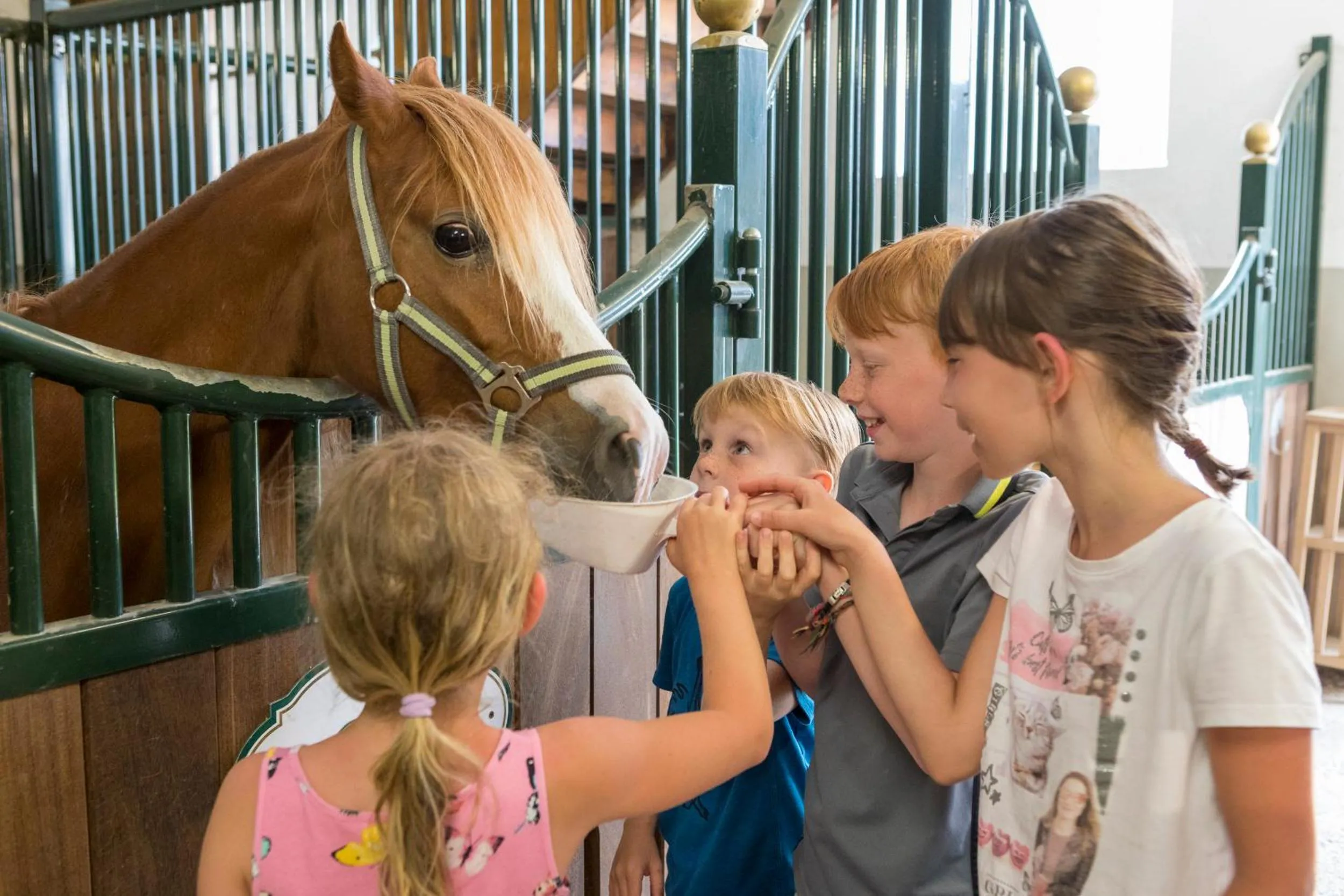 Animals in Lerchs Landhotel