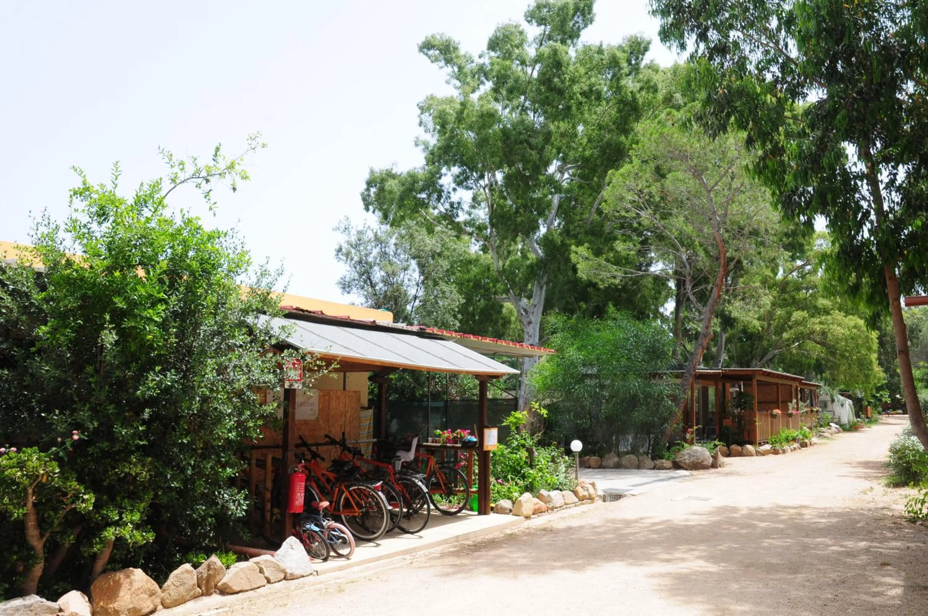 Cycling in Villaggio Camping Torre Salinas