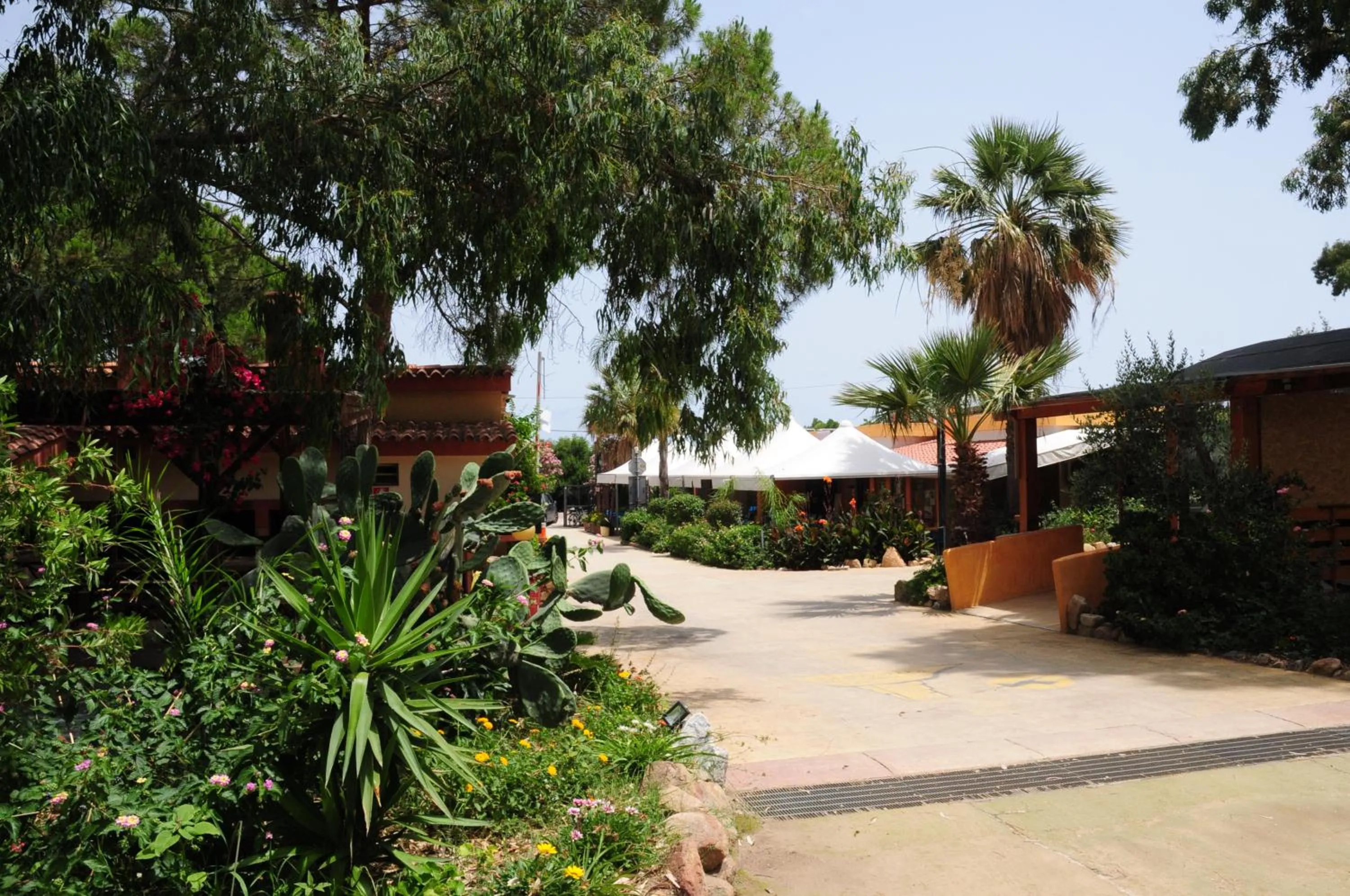 Shopping Area in Villaggio Camping Torre Salinas