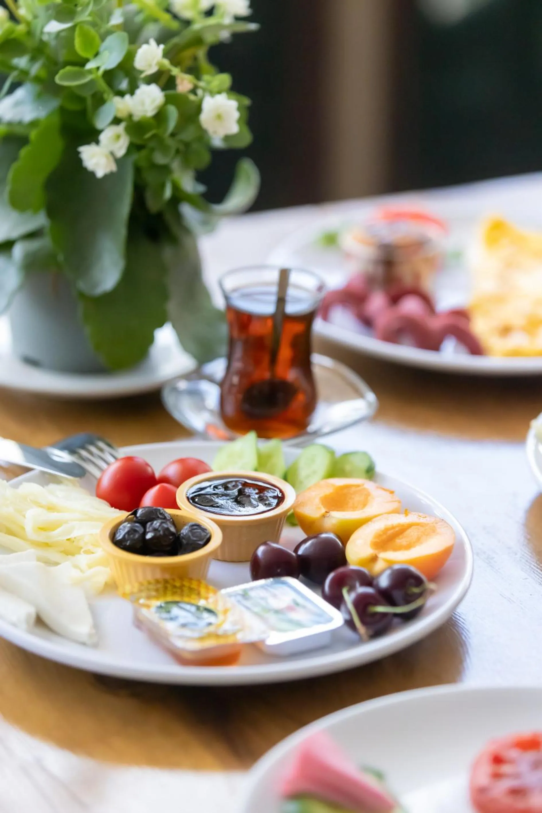 Garden in EPHESUS CENTRUM