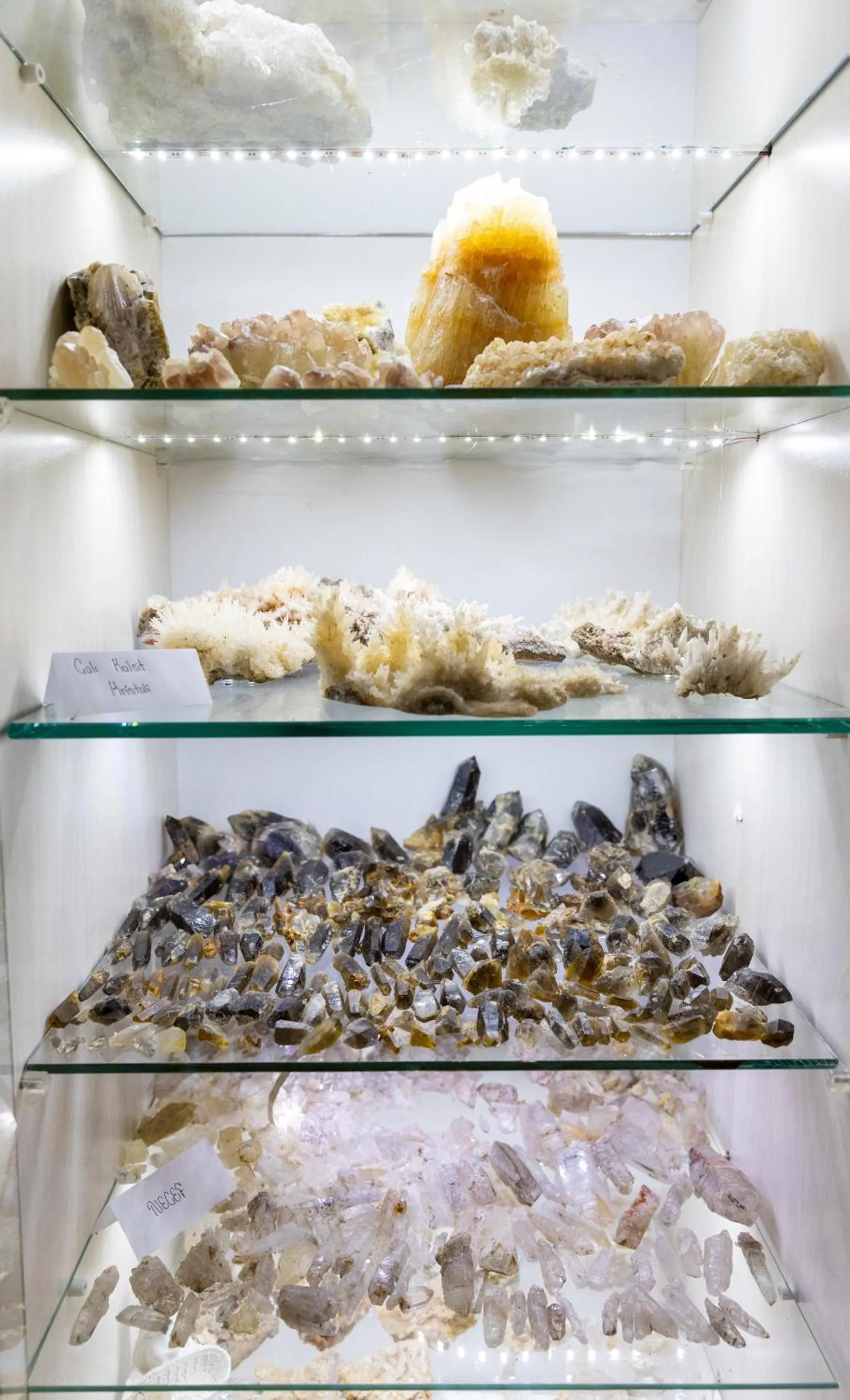 Activities in EPHESUS CENTRUM