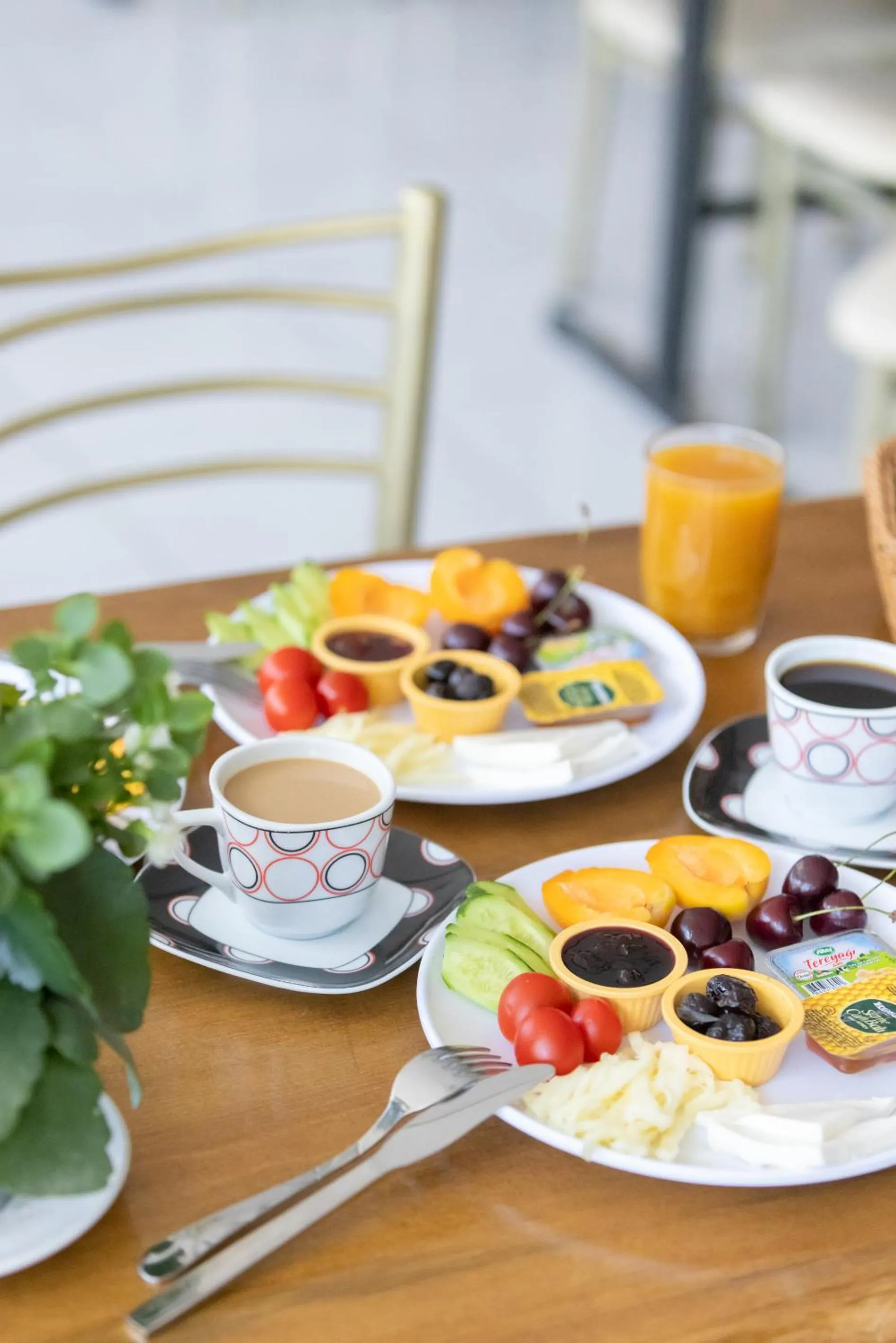 Food and drinks in EPHESUS CENTRUM