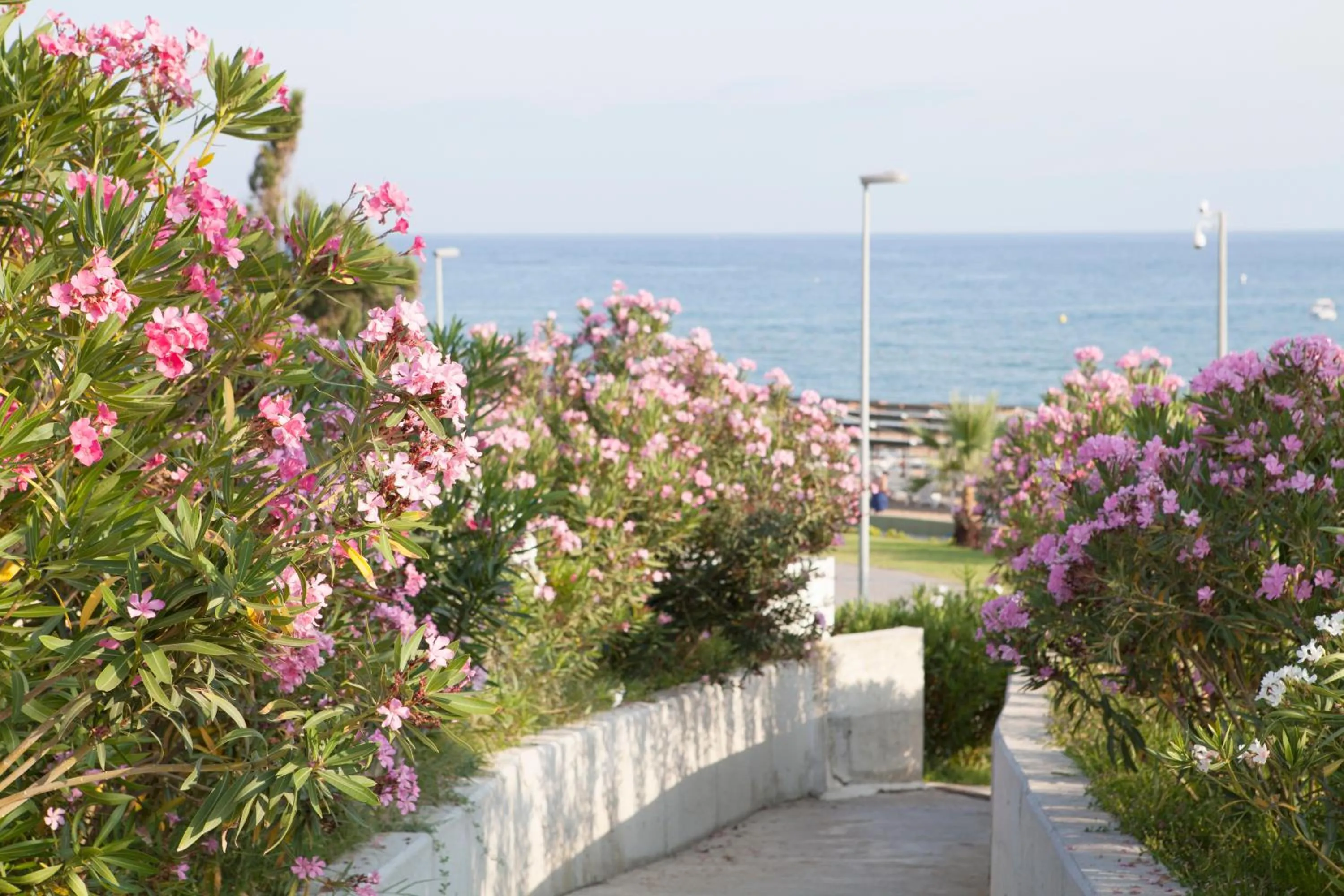 Beach in Side West Park Hotel