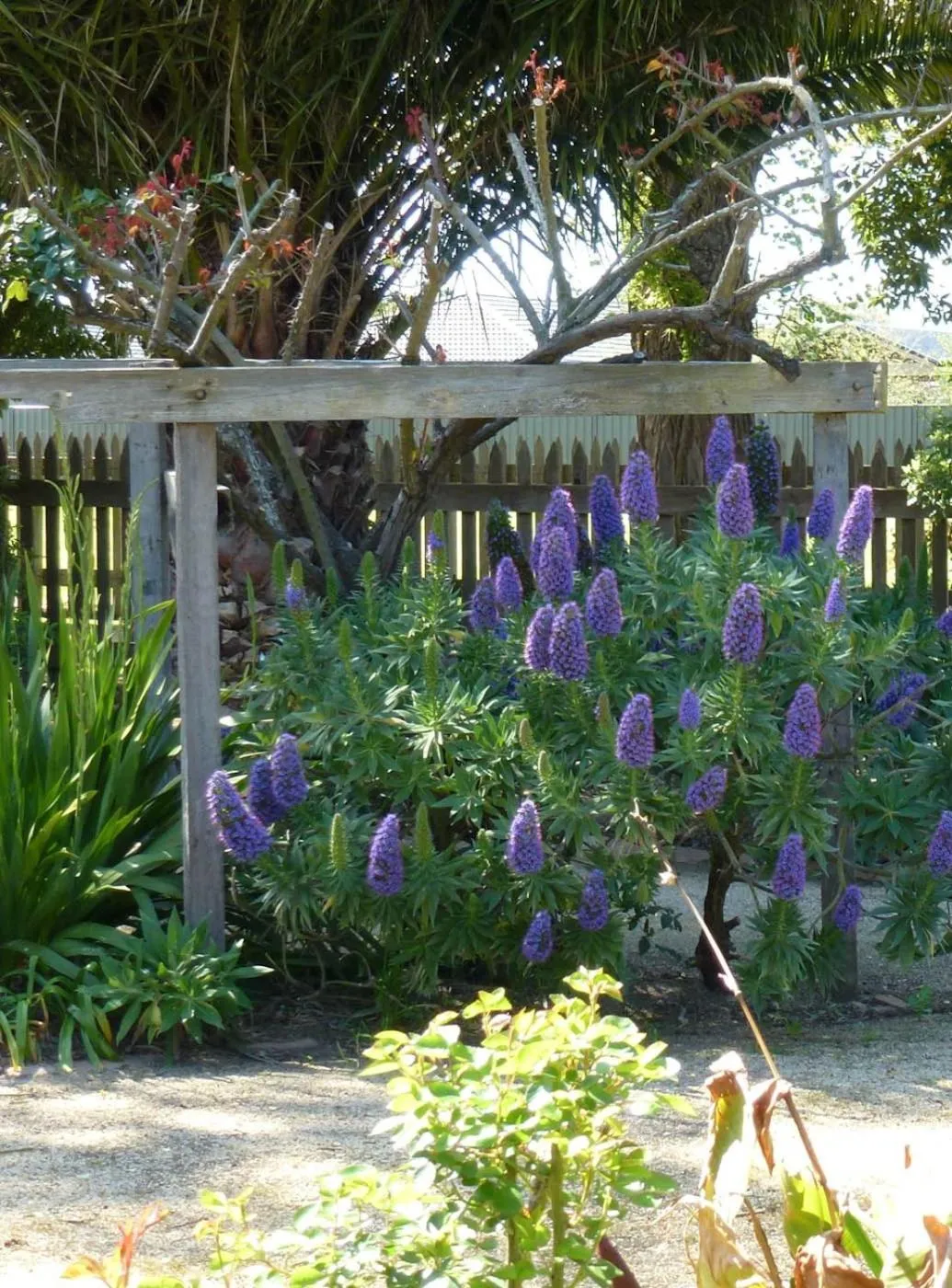 Bon Accord Boutique Accommodation