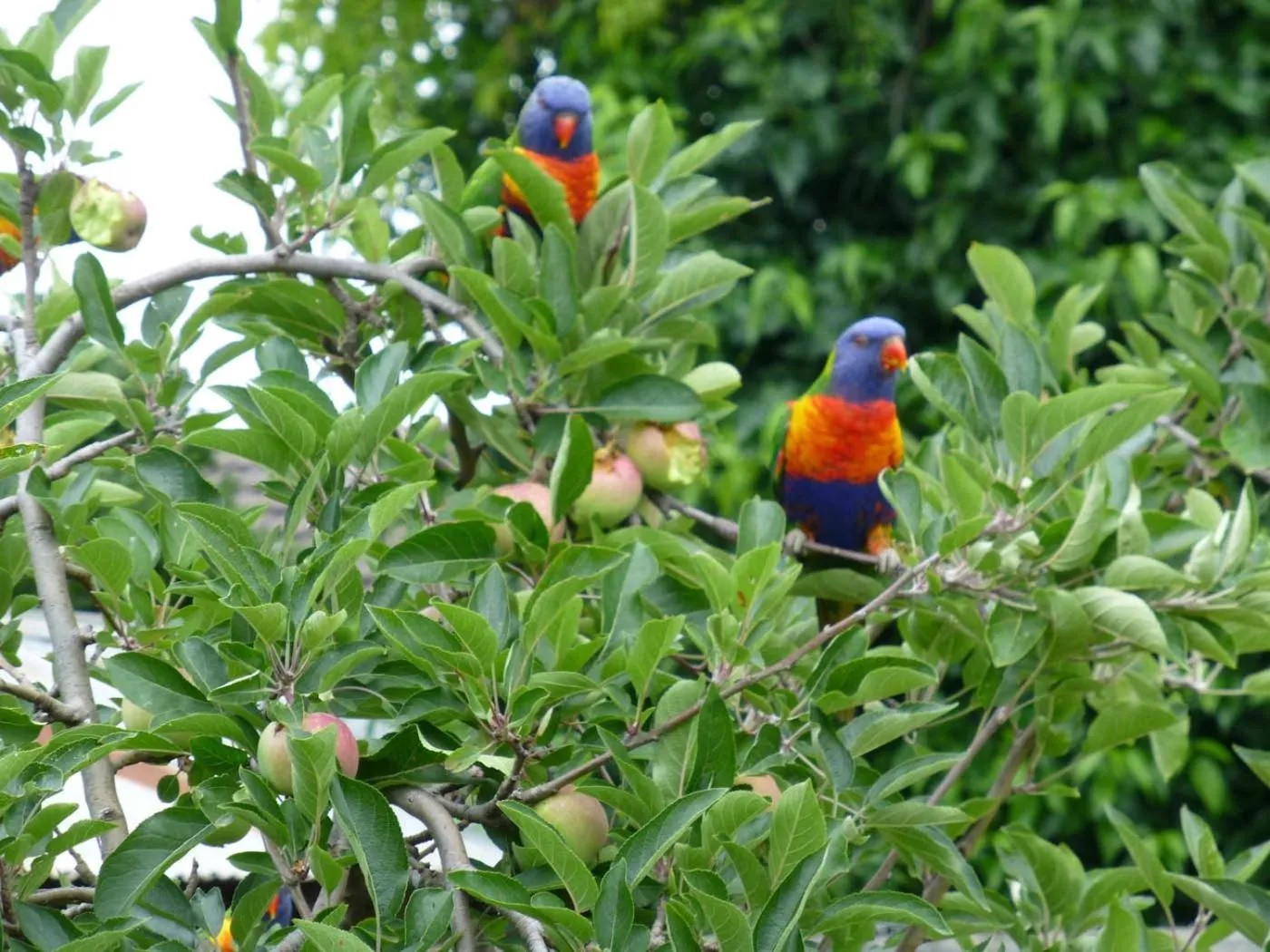 Bon Accord Boutique Accommodation