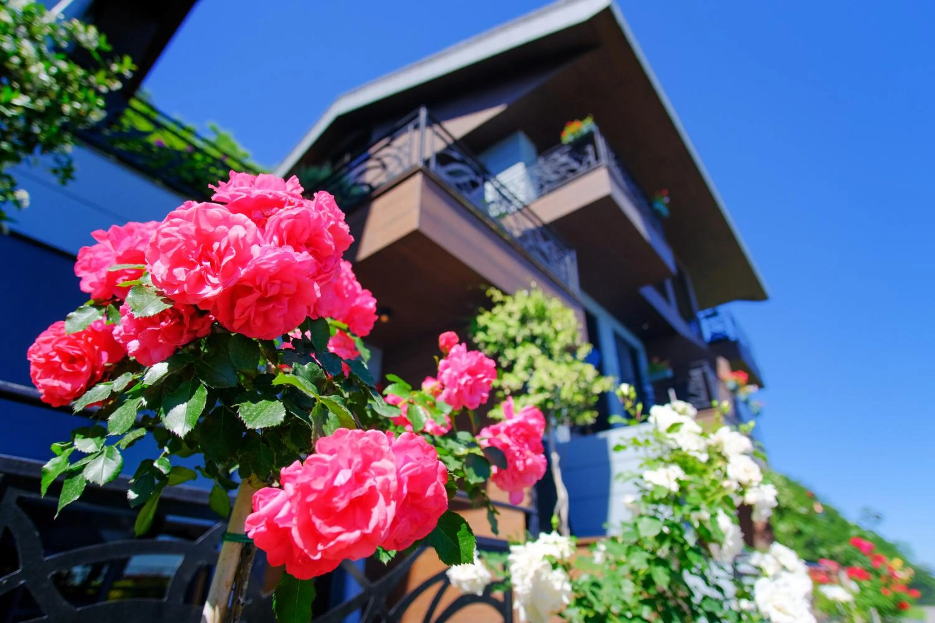 Property building in Peerless Villas Hotel