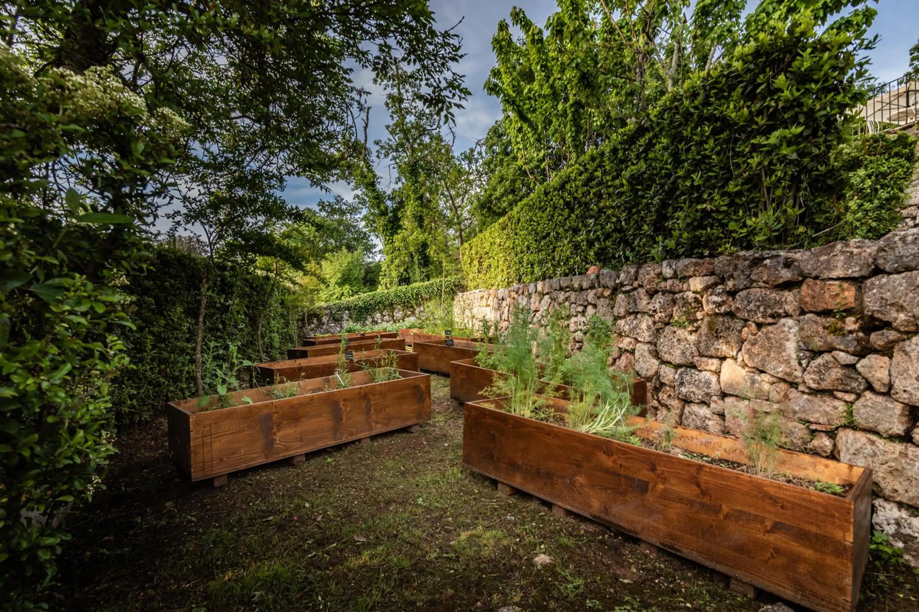 Restaurant/places to eat in Relais La Costa Historical Residence