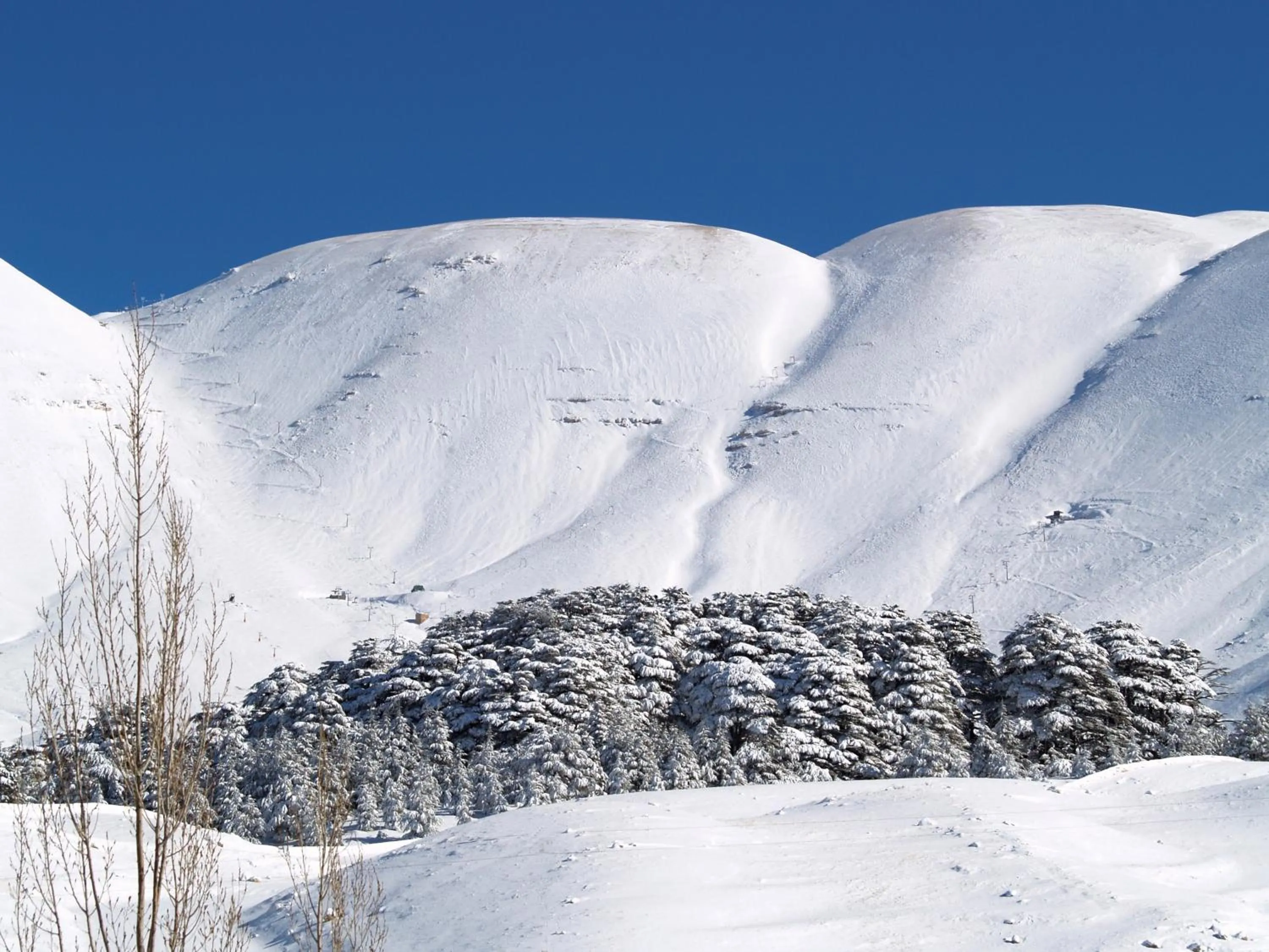 Natural landscape in La Maison des Cèdres