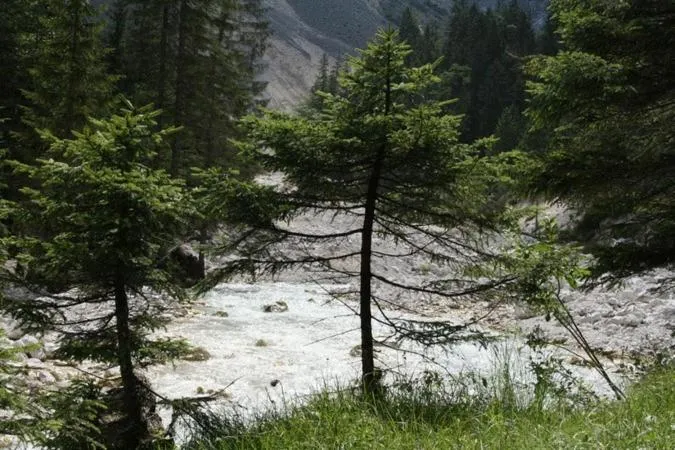 Landgasthof Kirchmayer