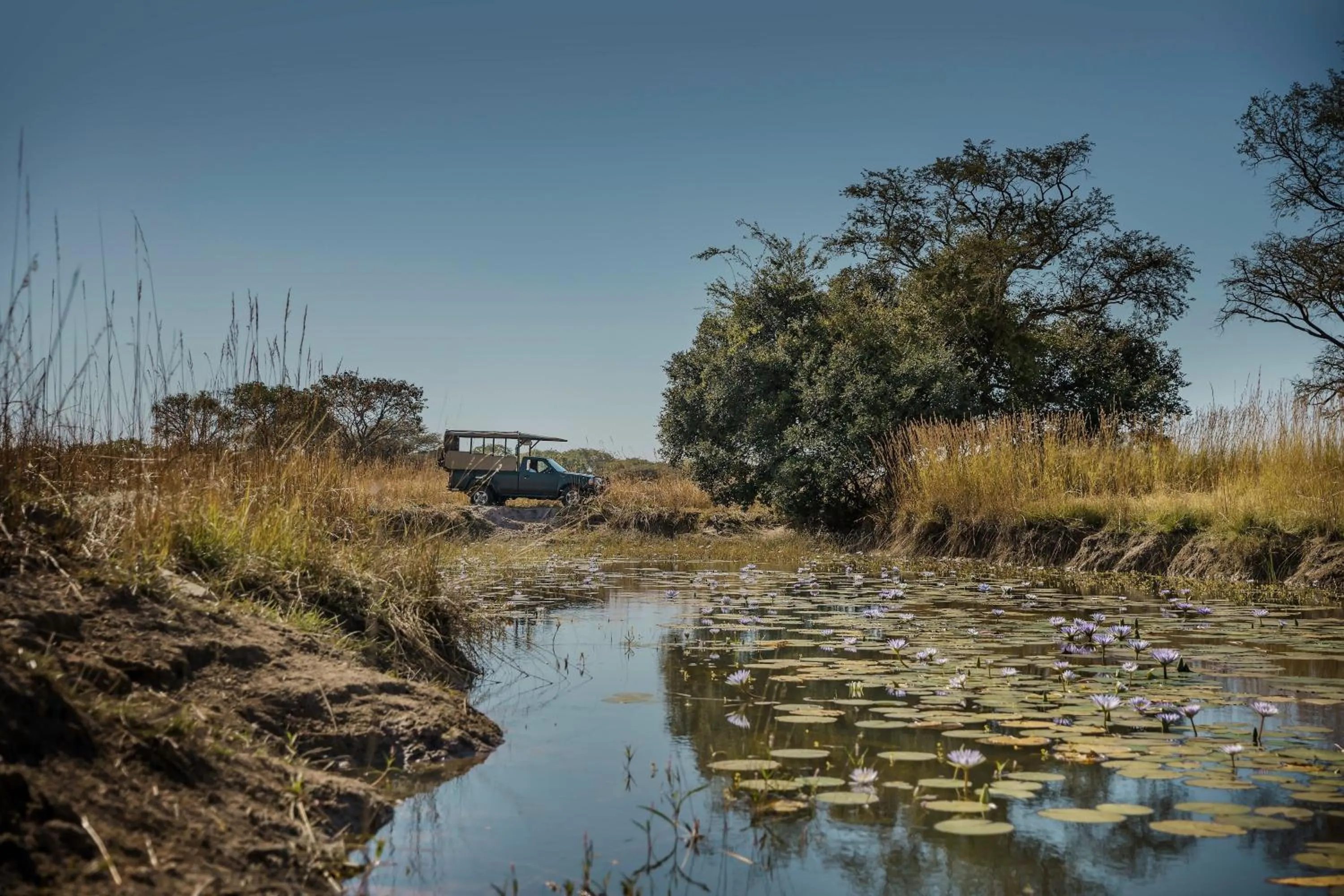 Area and facilities in Protea Hotel by Marriott Lusaka Safari Lodge