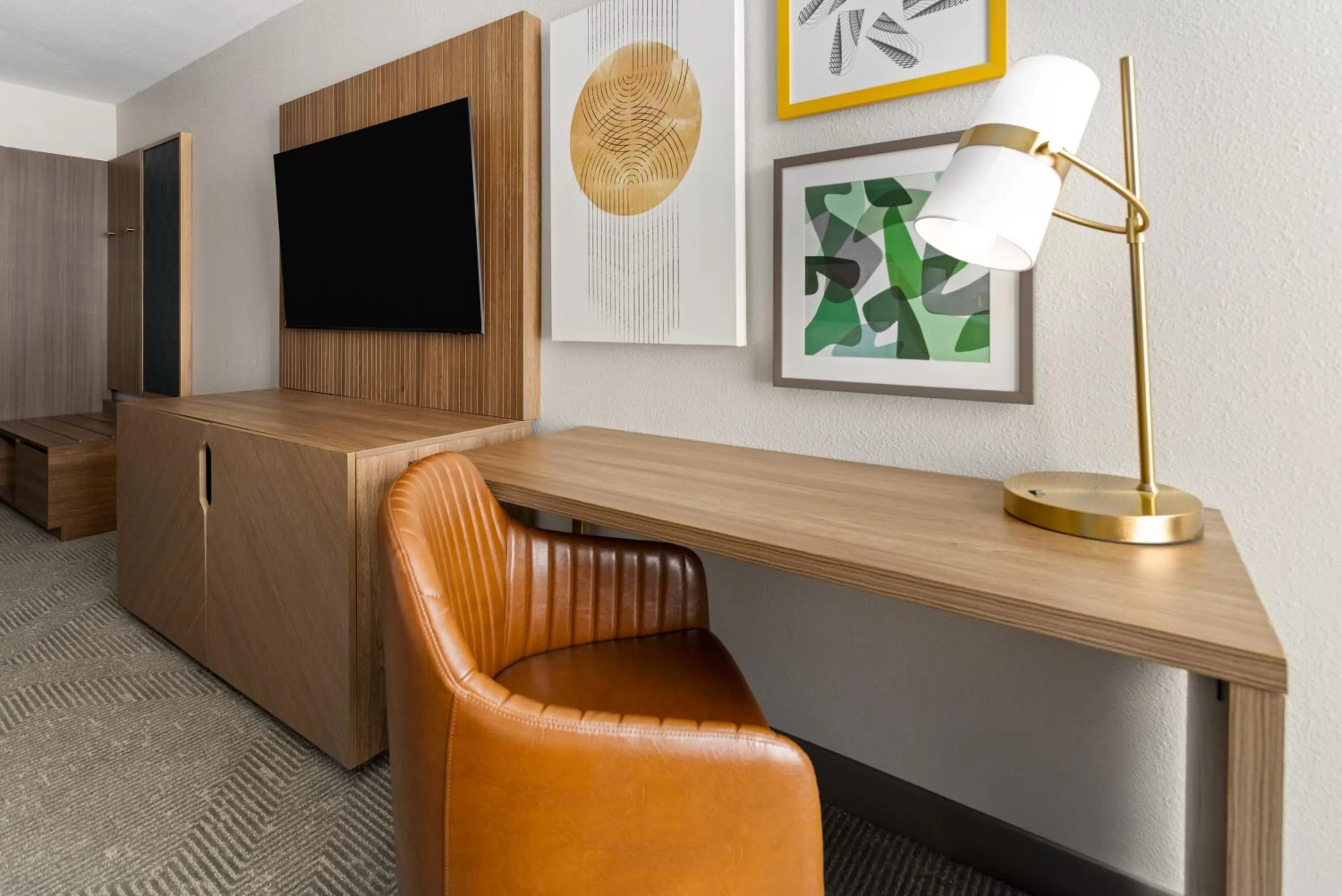 TV and multimedia in Holiday Inn & Suites Columbia NE - Ft Jackson Area by IHG