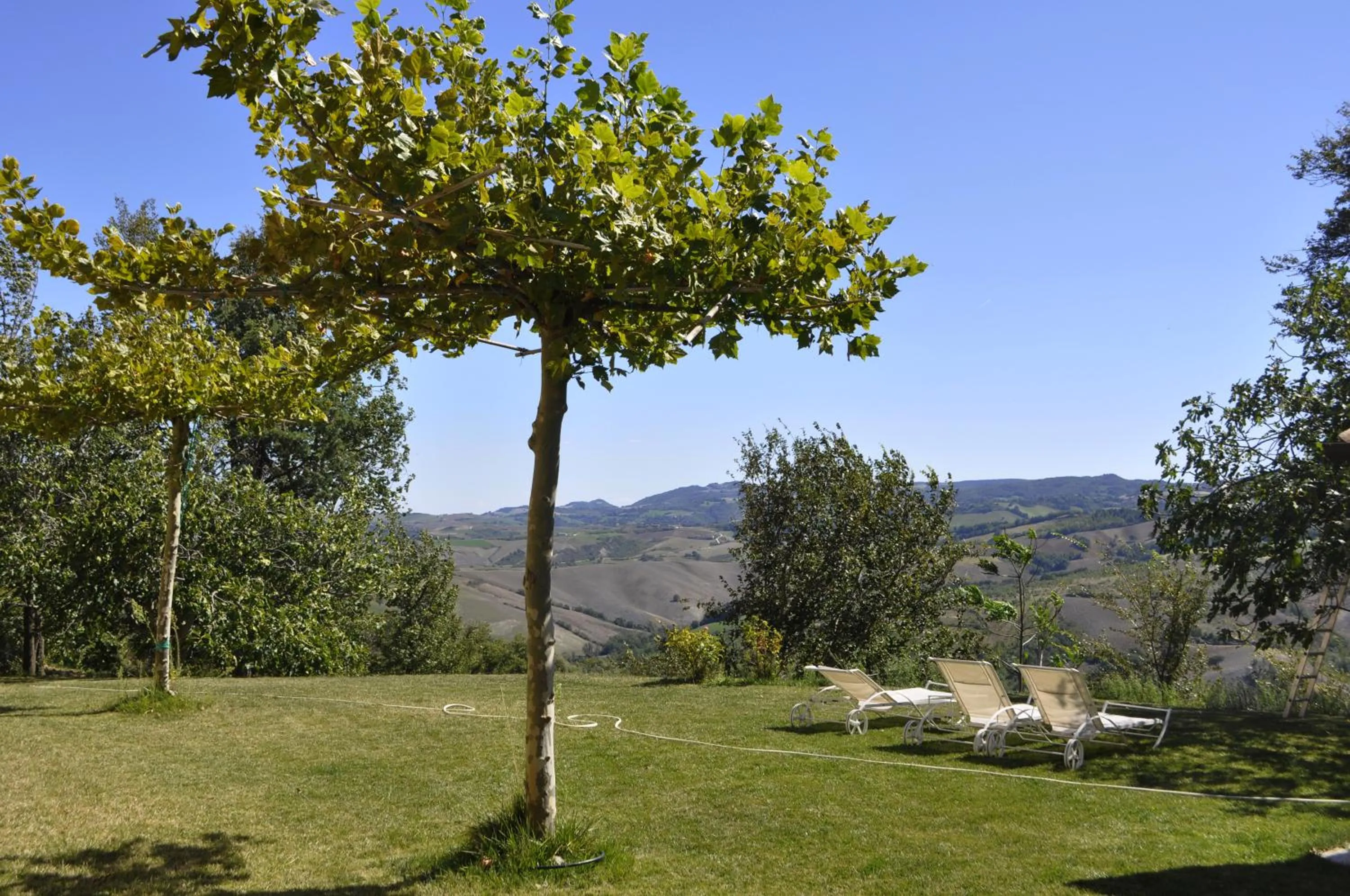 Garden view in Il Casale del Duca