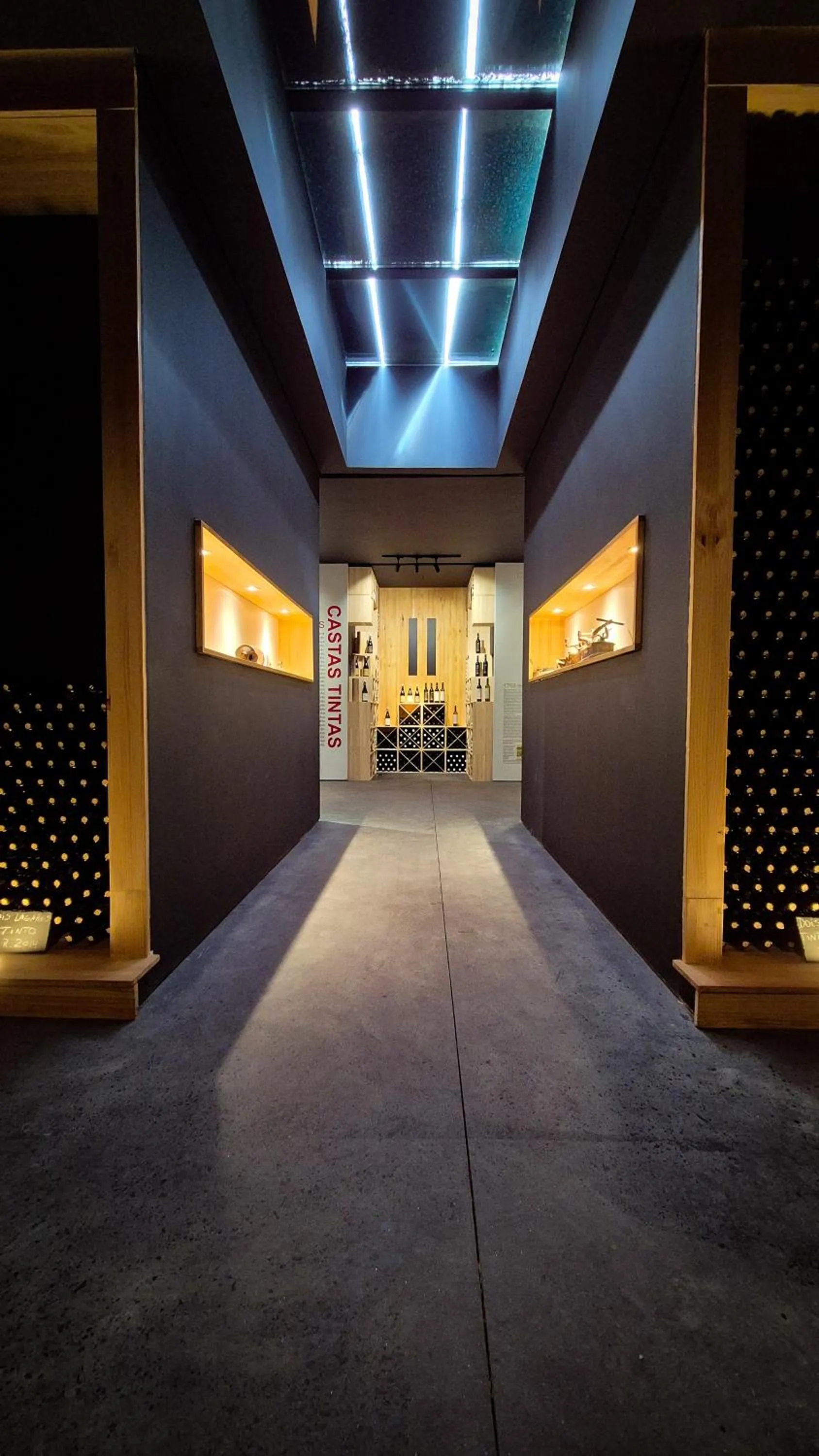 Entertainment in Dois Lagares House