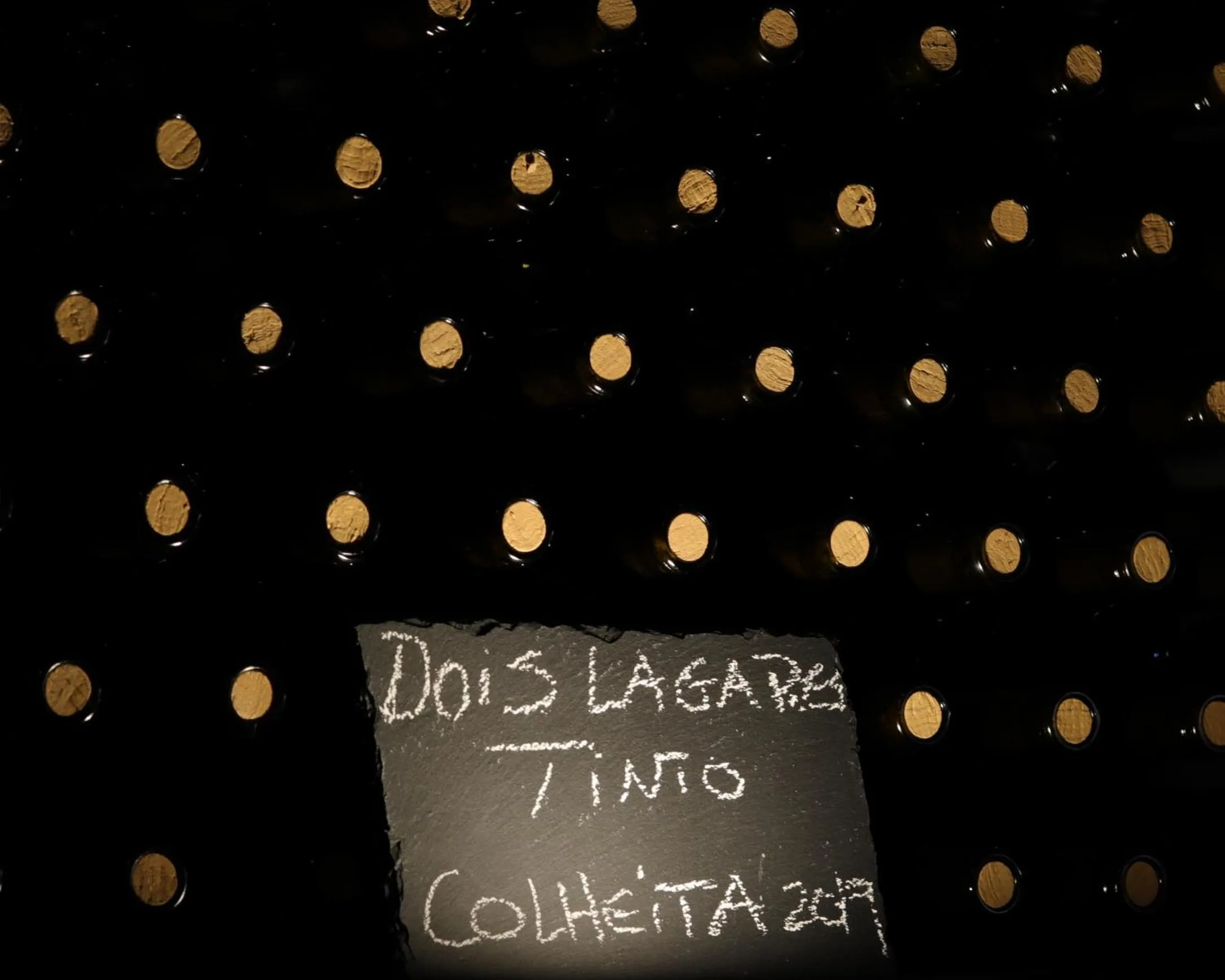 Activities in Dois Lagares House