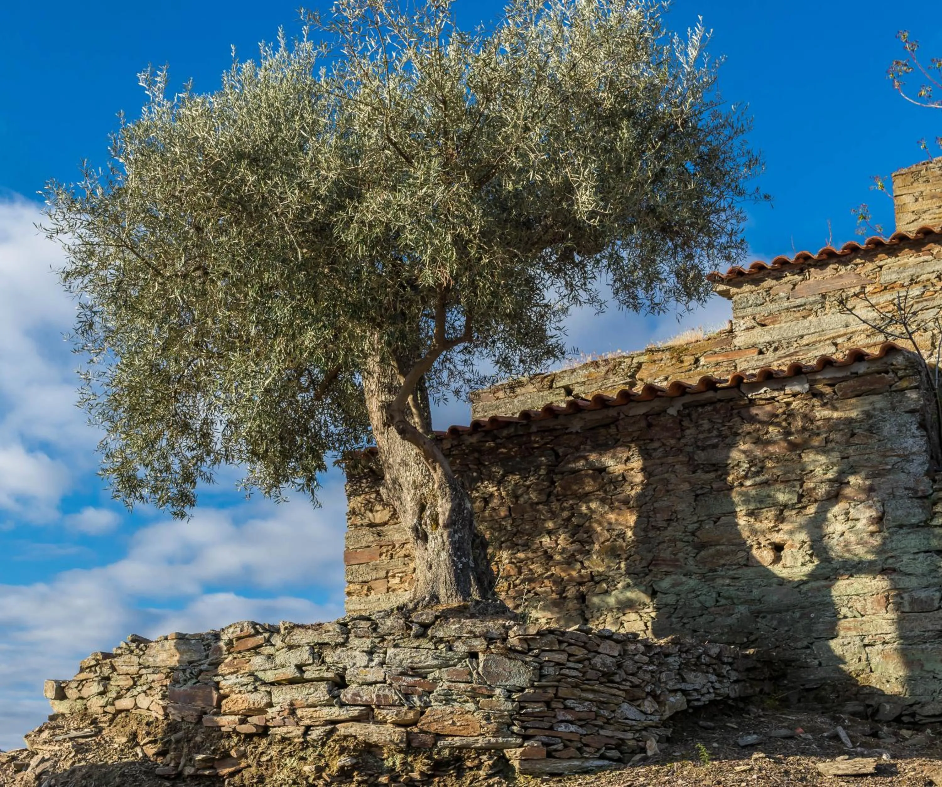 Hiking in Dois Lagares House