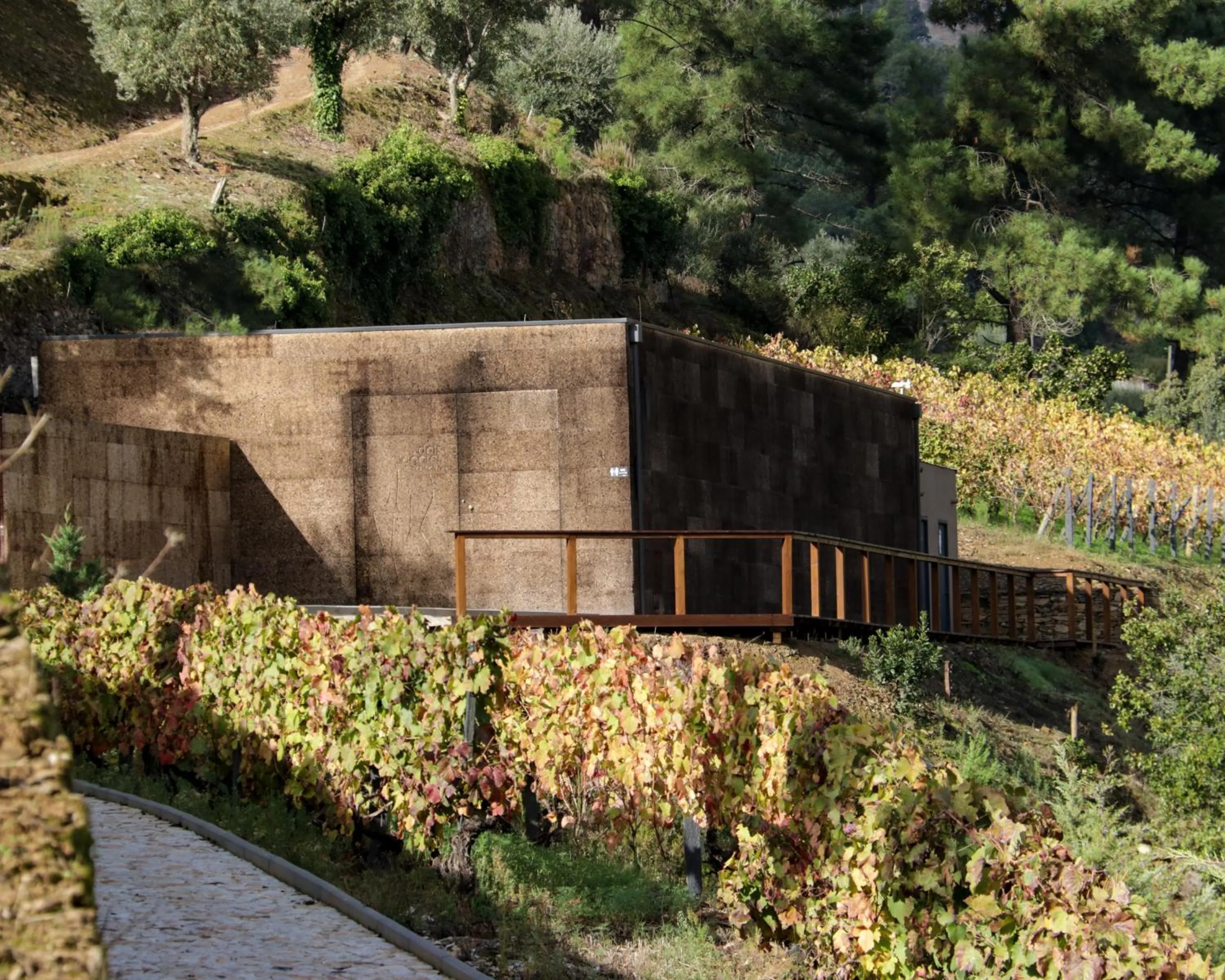 Entertainment in Dois Lagares House