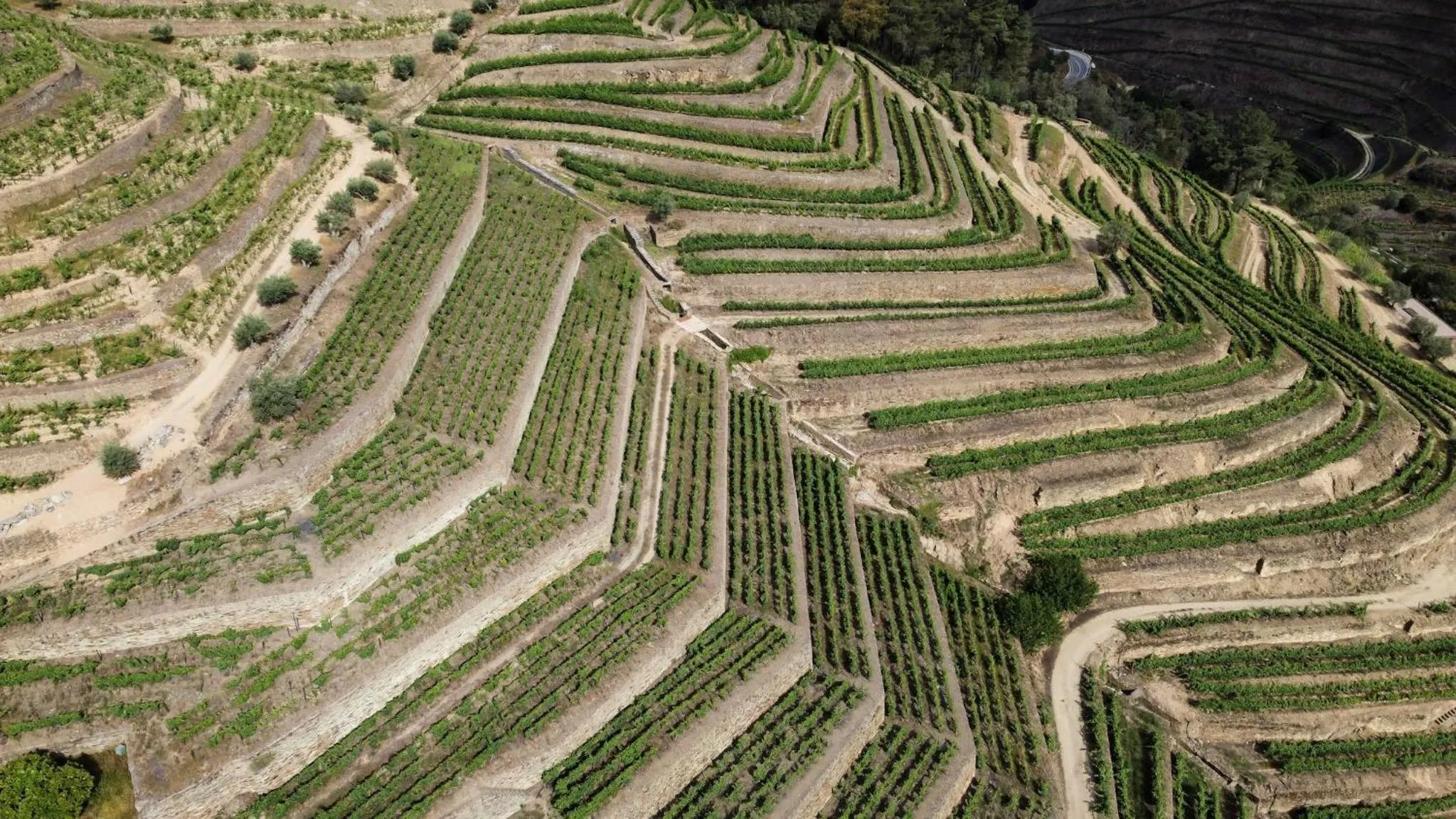 View (from property/room) in Dois Lagares House