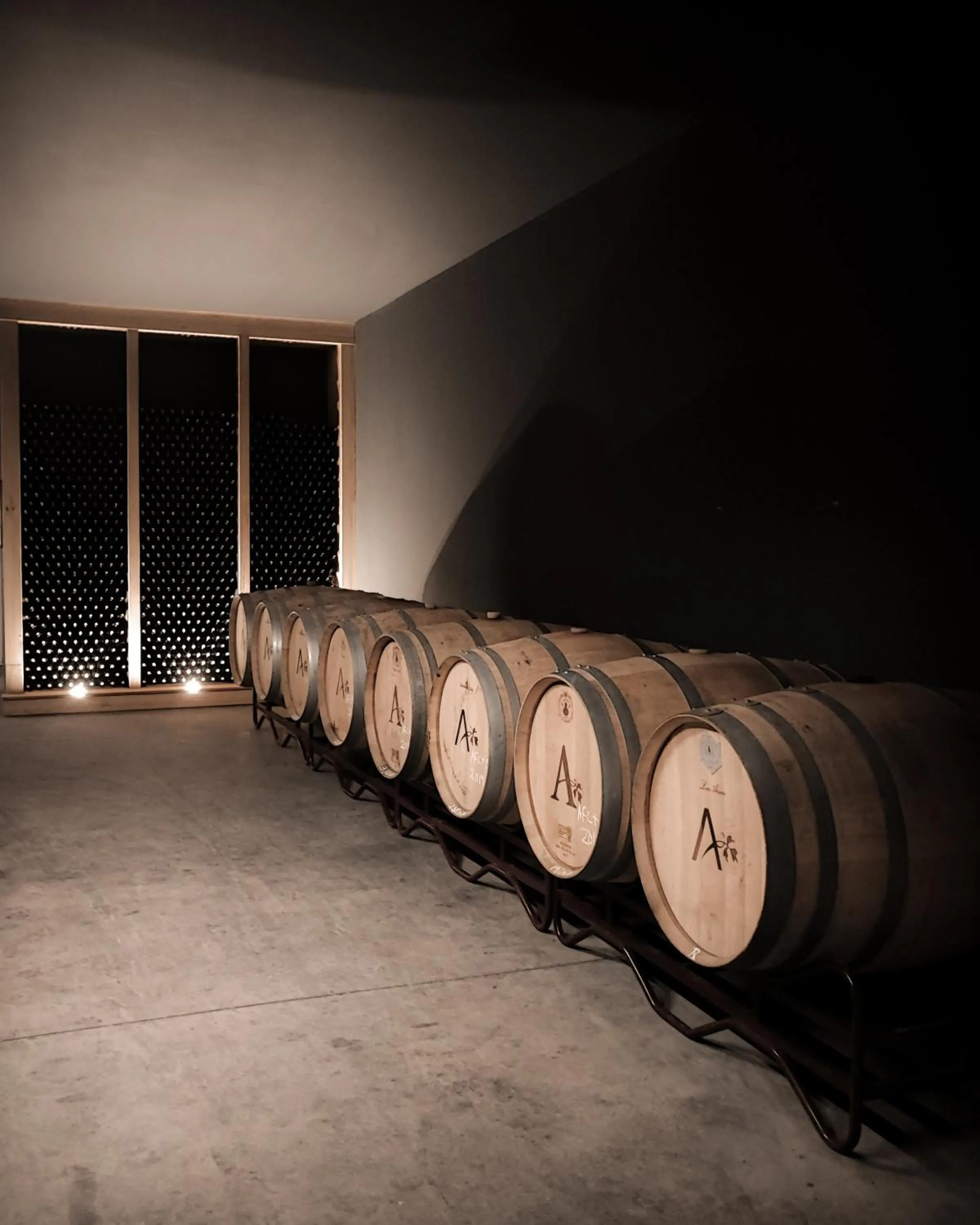 Entertainment in Dois Lagares House