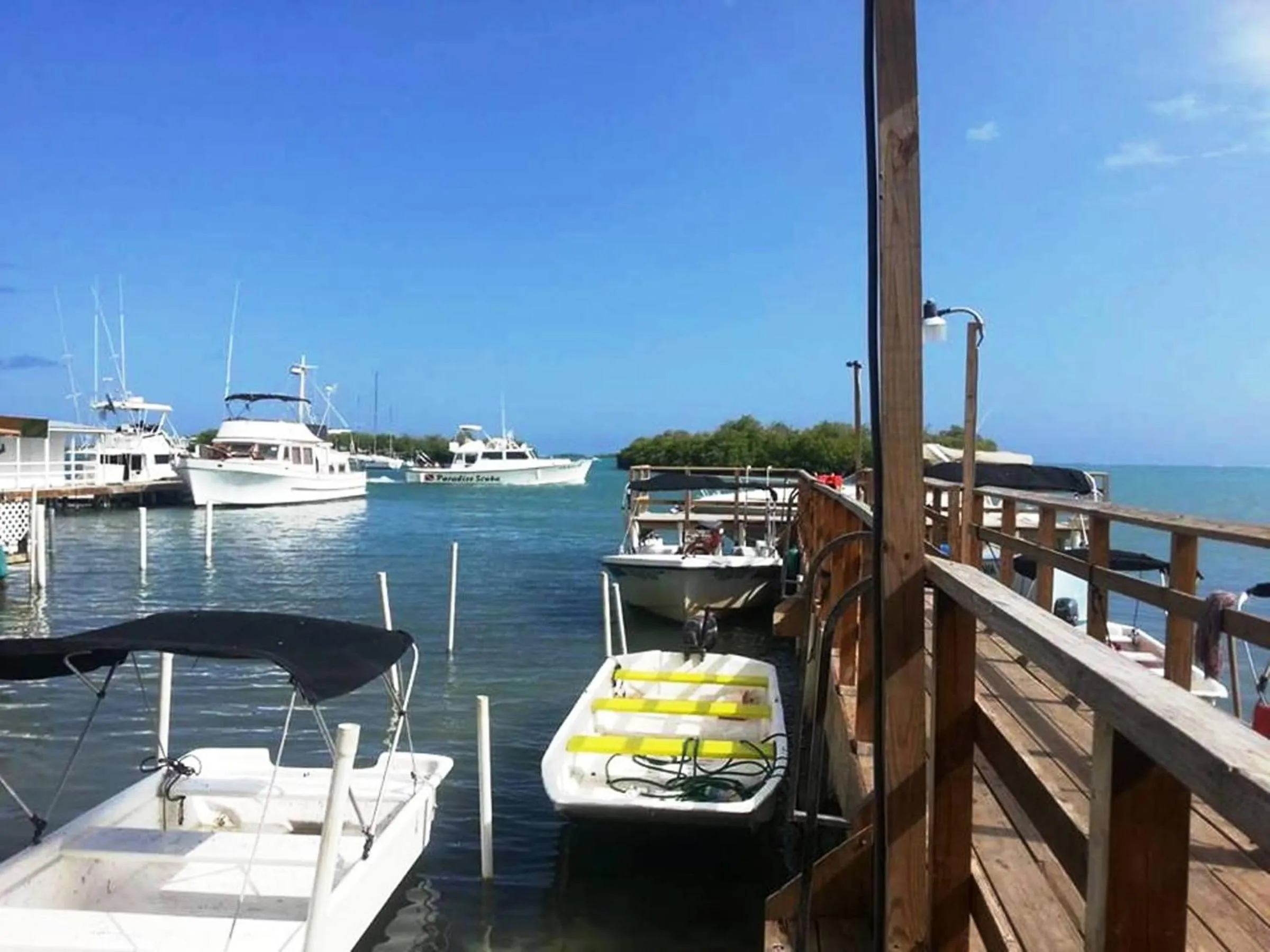 View (from property/room) in La Jamaca - An Island Vibe Hotel