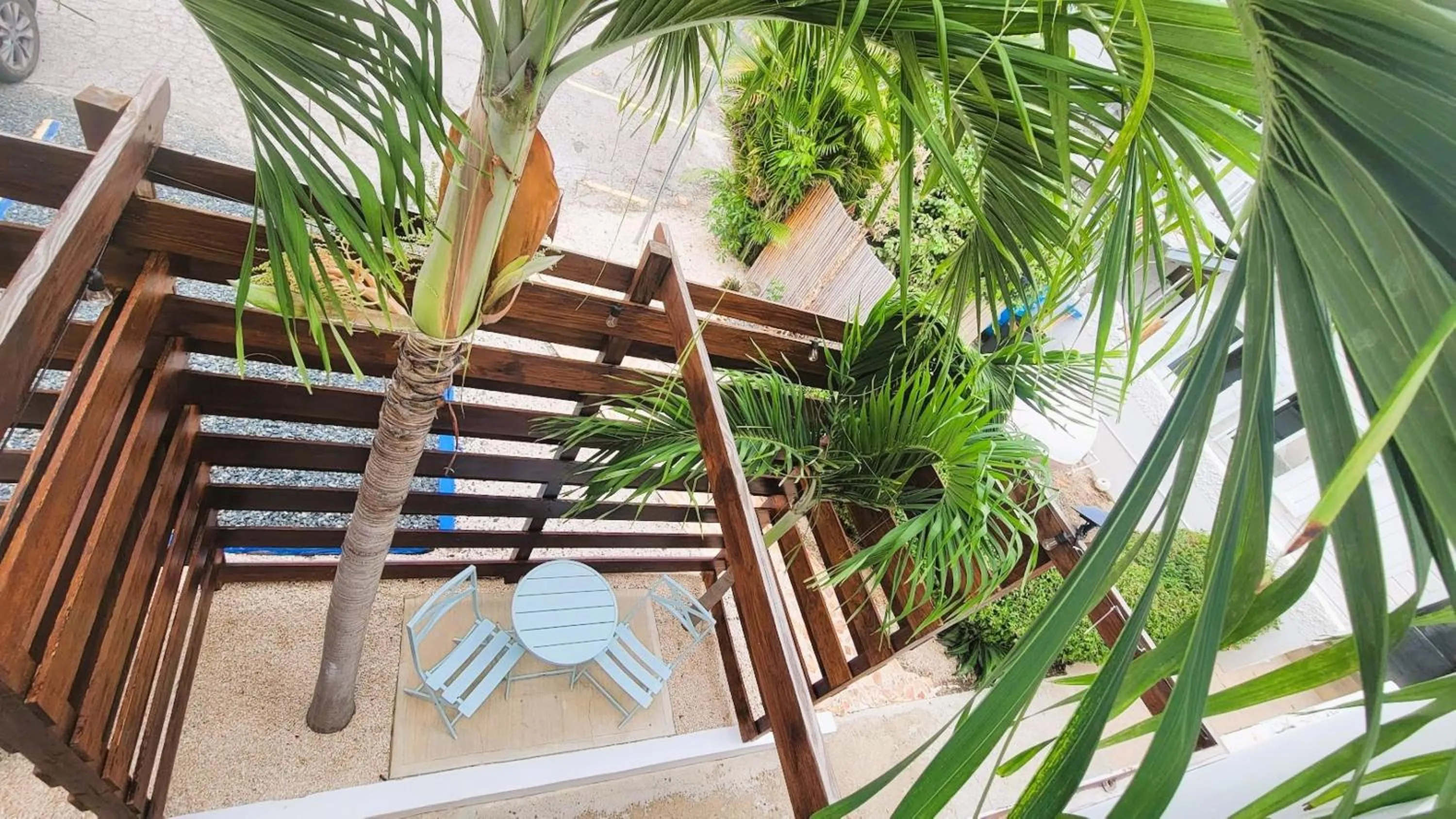 Area and facilities in La Jamaca - An Island Vibe Hotel