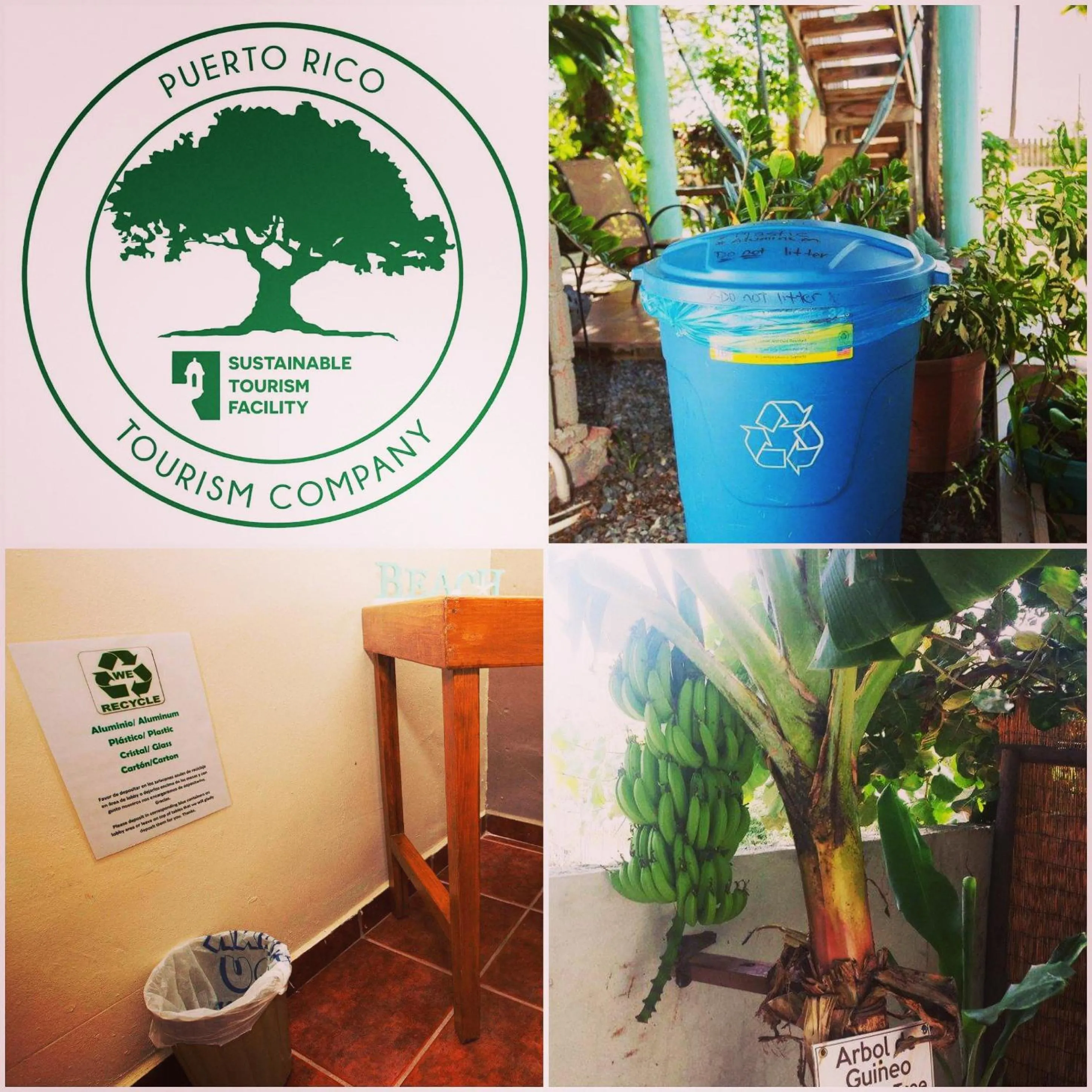 Certificate/Award in La Jamaca - An Island Vibe Hotel