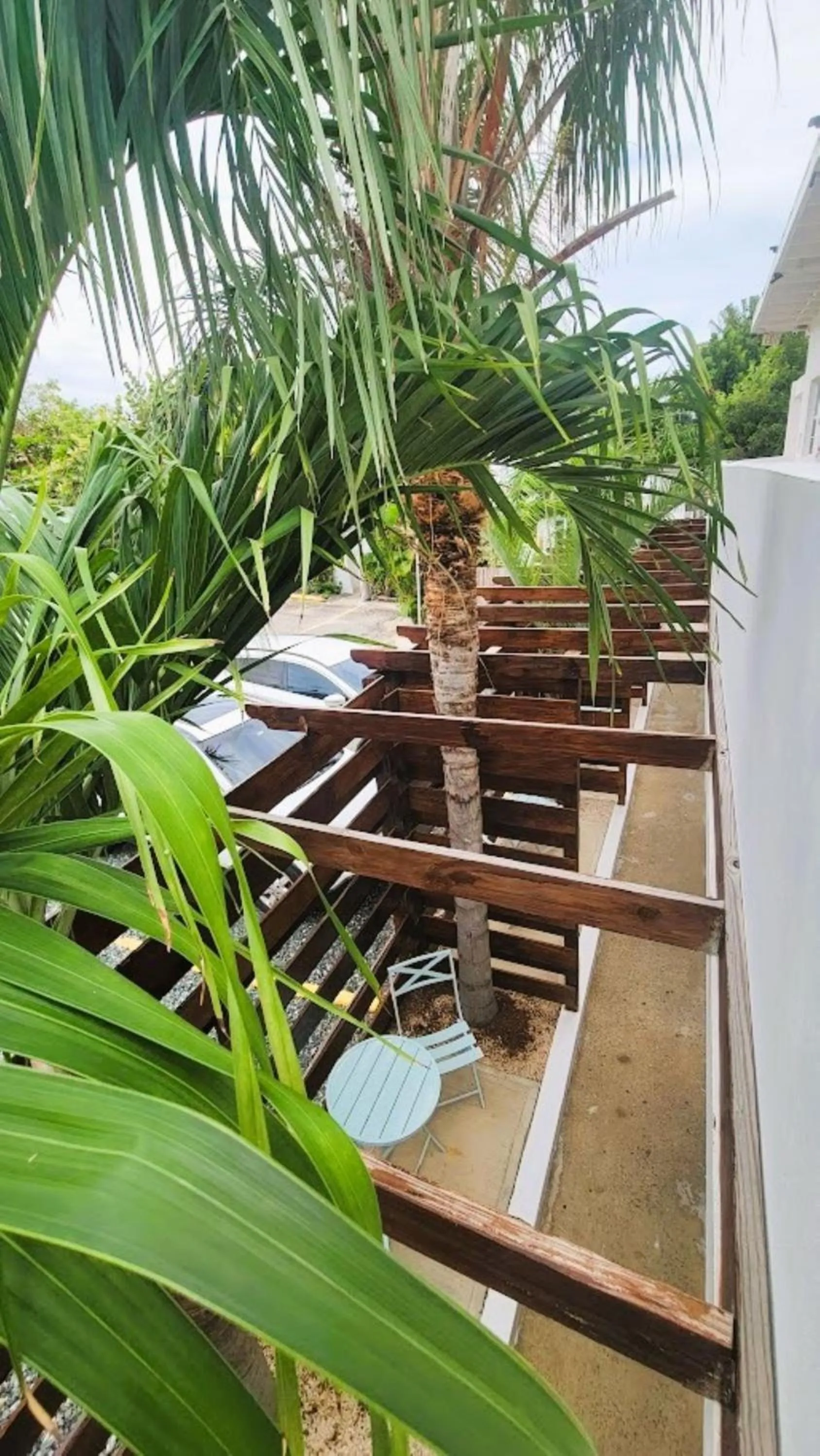 Garden in La Jamaca - An Island Vibe Hotel