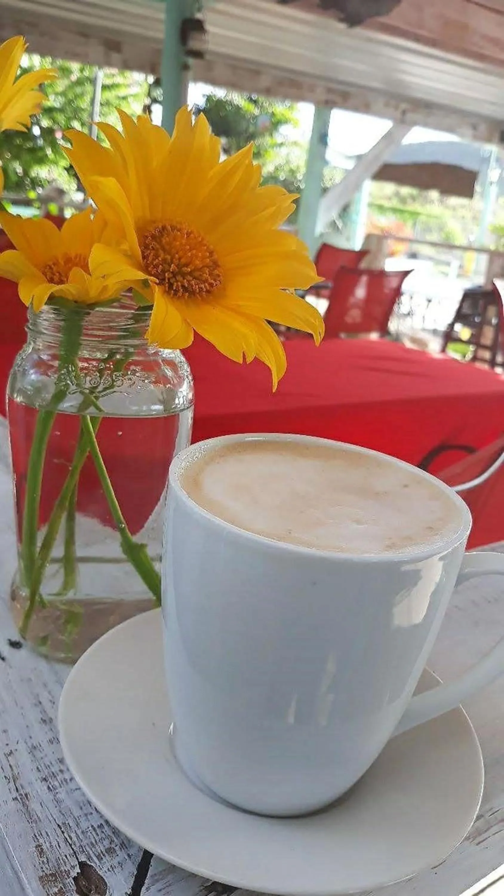 Coffee/tea facilities in La Jamaca - An Island Vibe Hotel