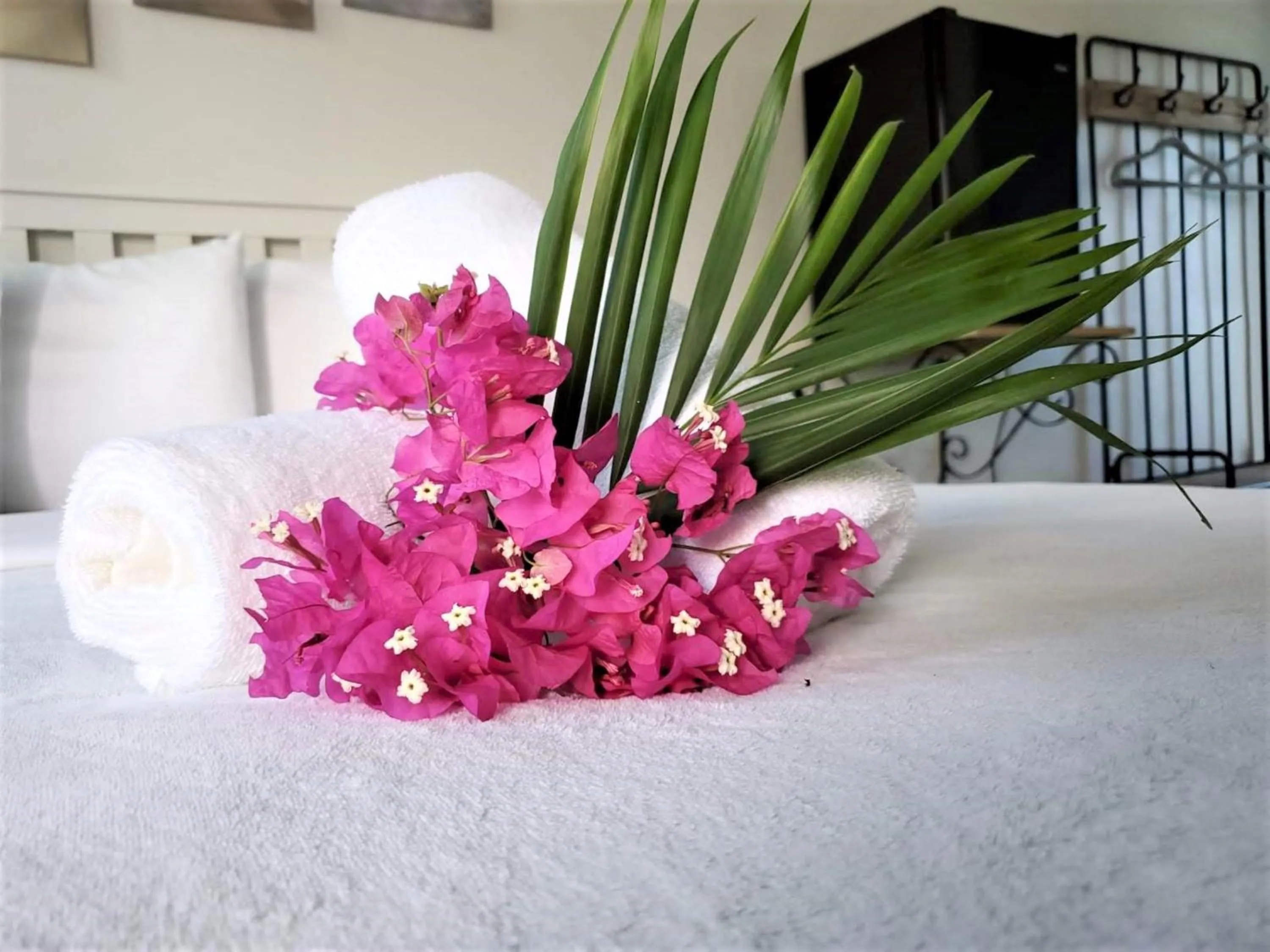 Bed in La Jamaca - An Island Vibe Hotel