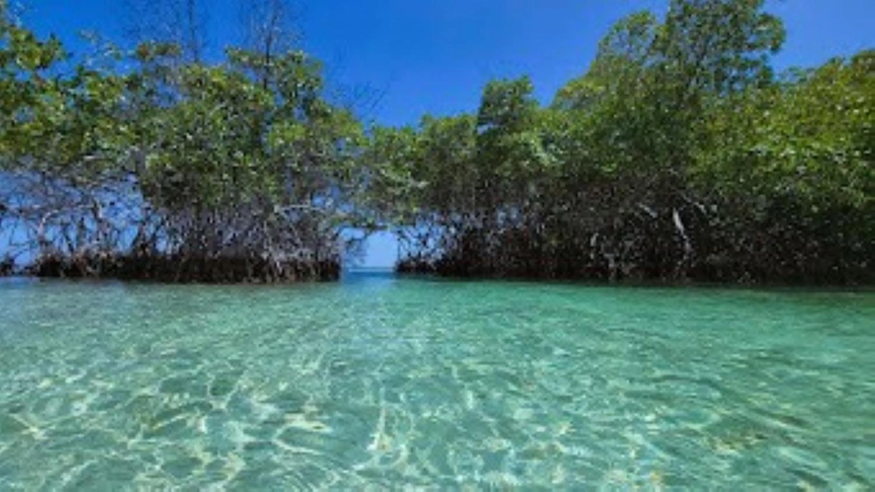 Day in La Jamaca - An Island Vibe Hotel