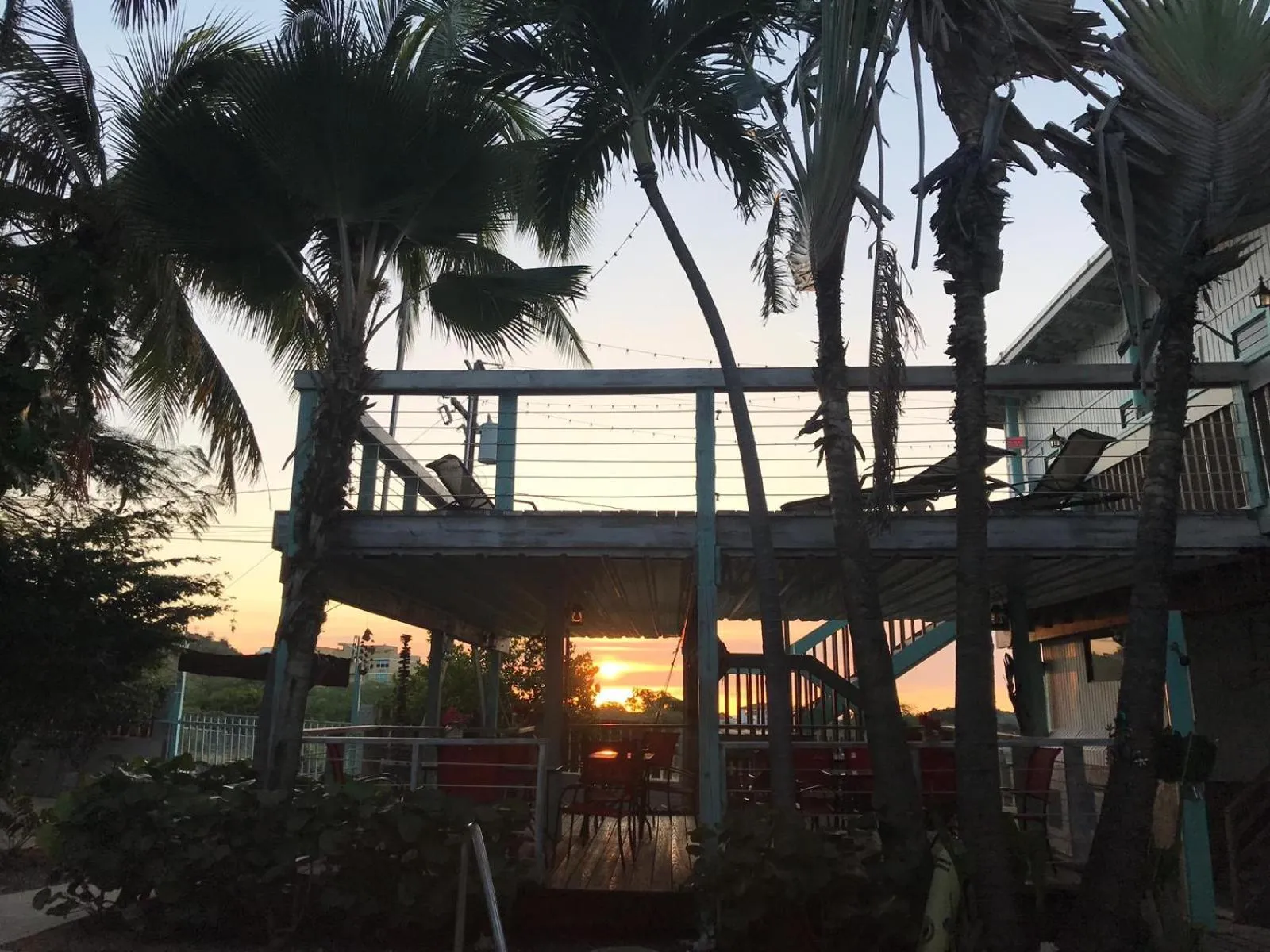 Garden in La Jamaca - An Island Vibe Hotel