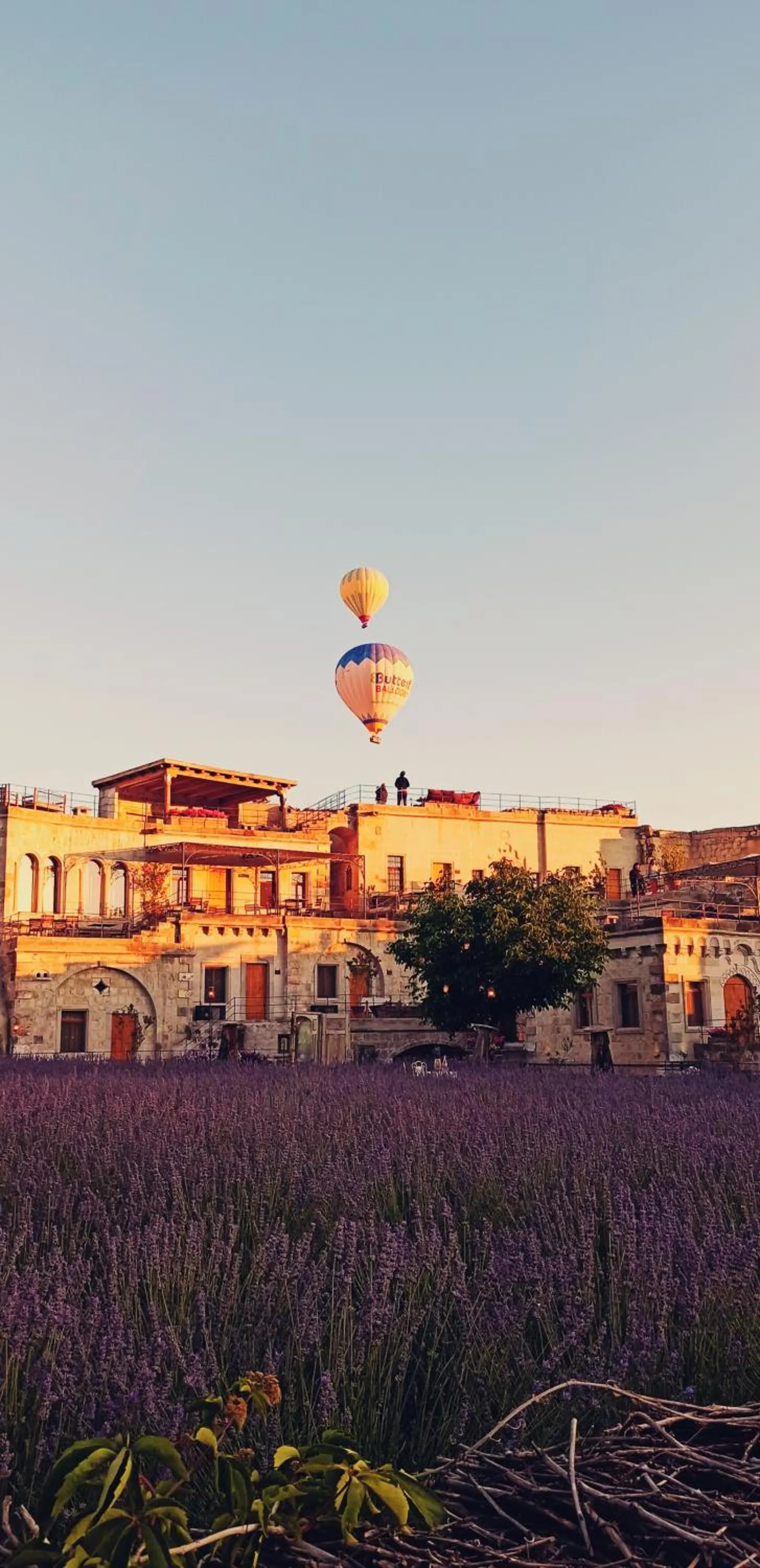 Property building in Design Cave Hotel