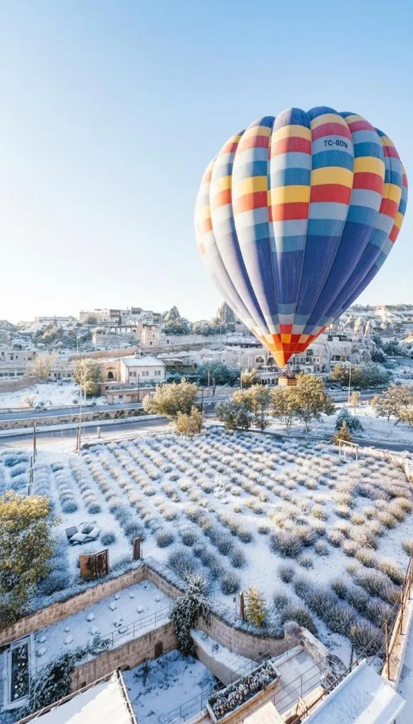 Garden in Design Cave Hotel