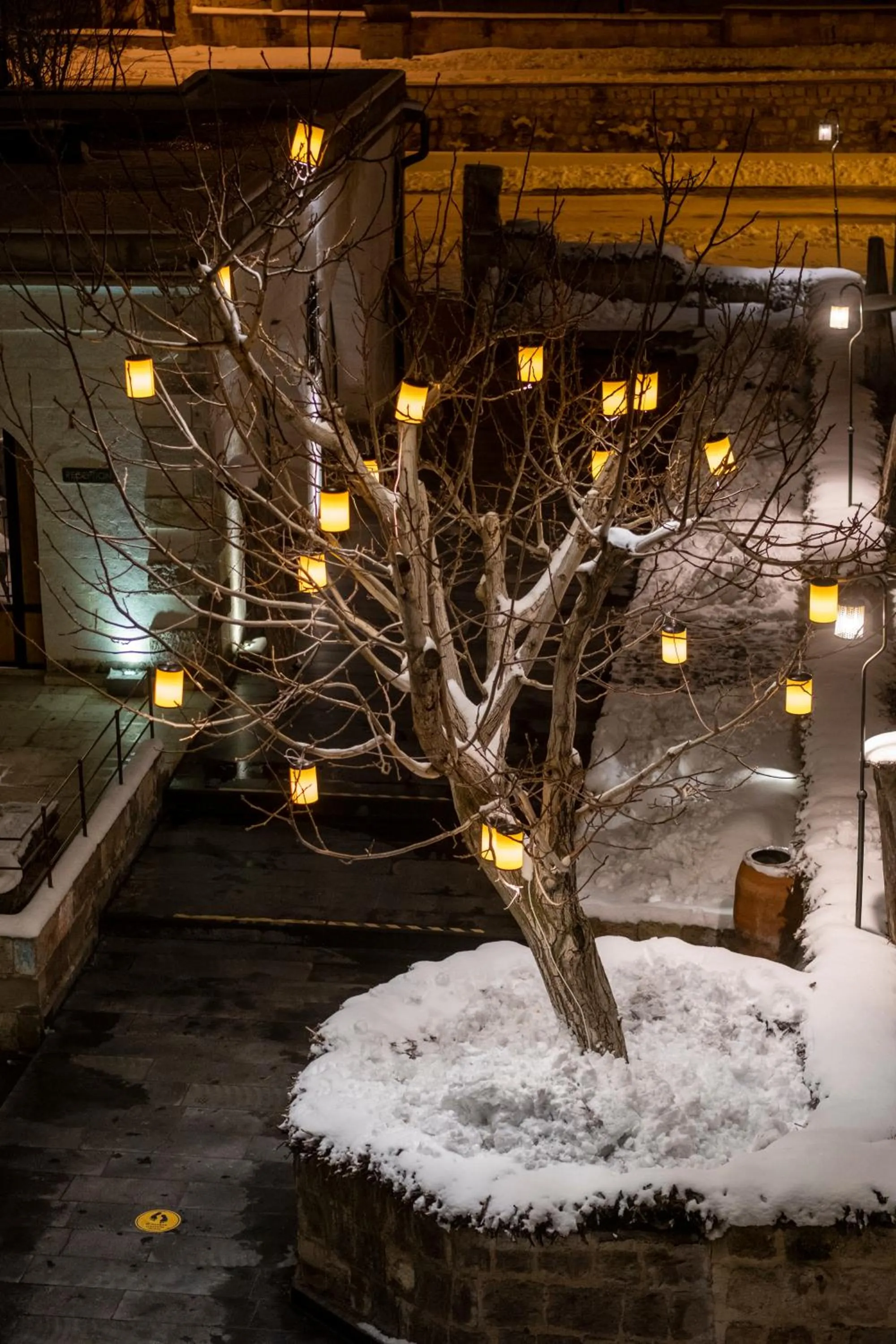 Night in Design Cave Hotel