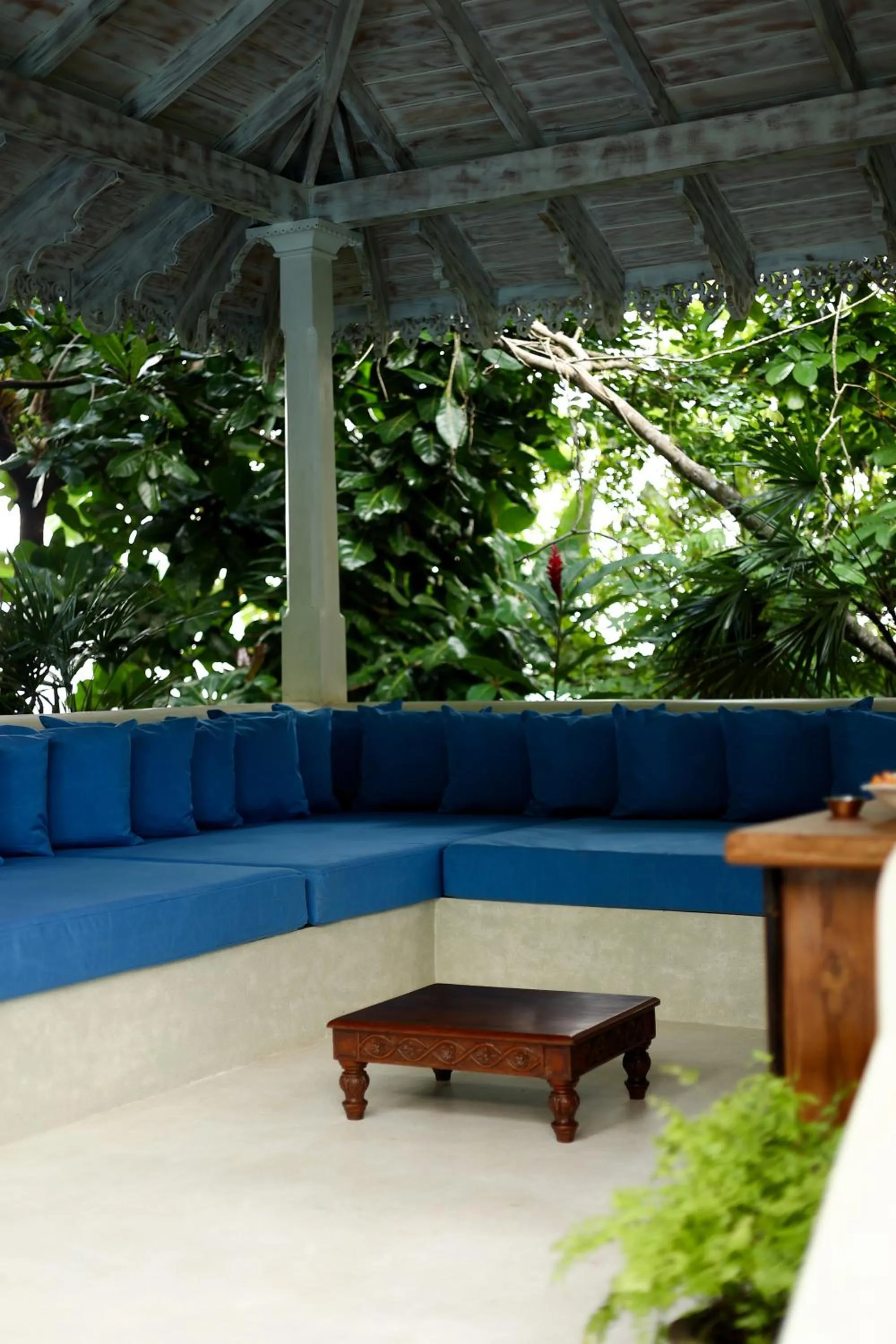 Swimming pool in Villa SPACE