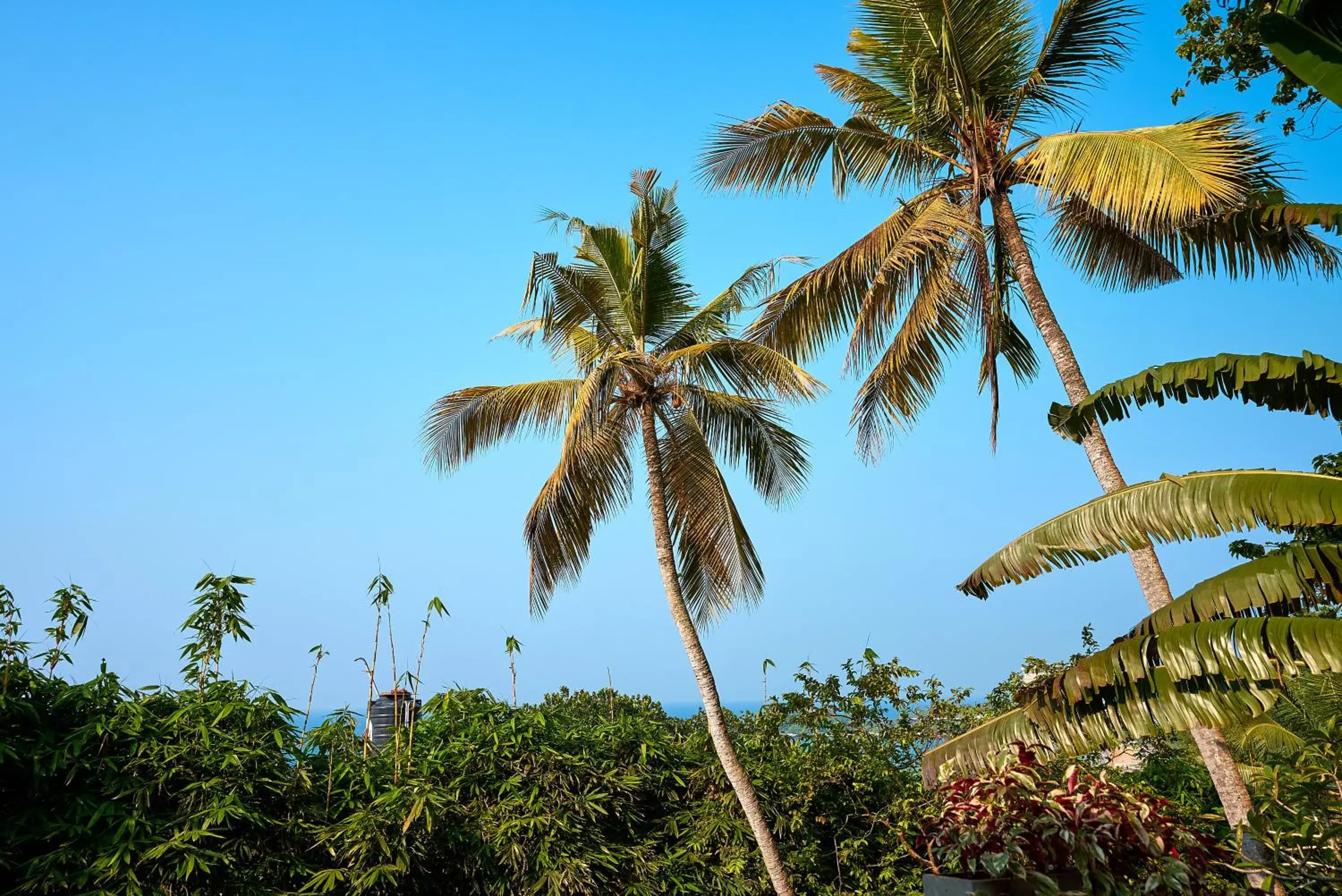 View (from property/room) in Villa SPACE View (from property/room) in Villa SPACE