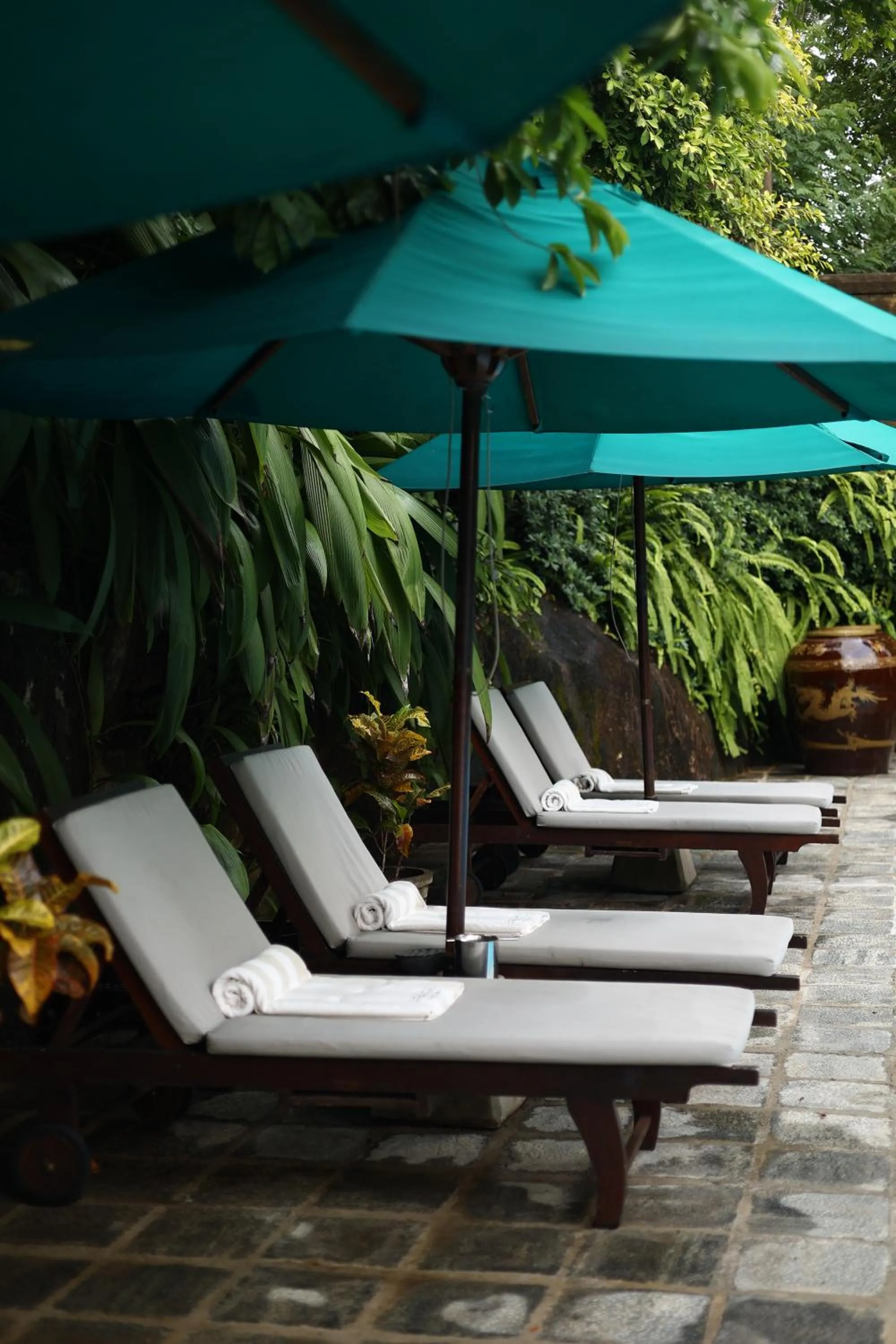 Swimming pool in Villa SPACE