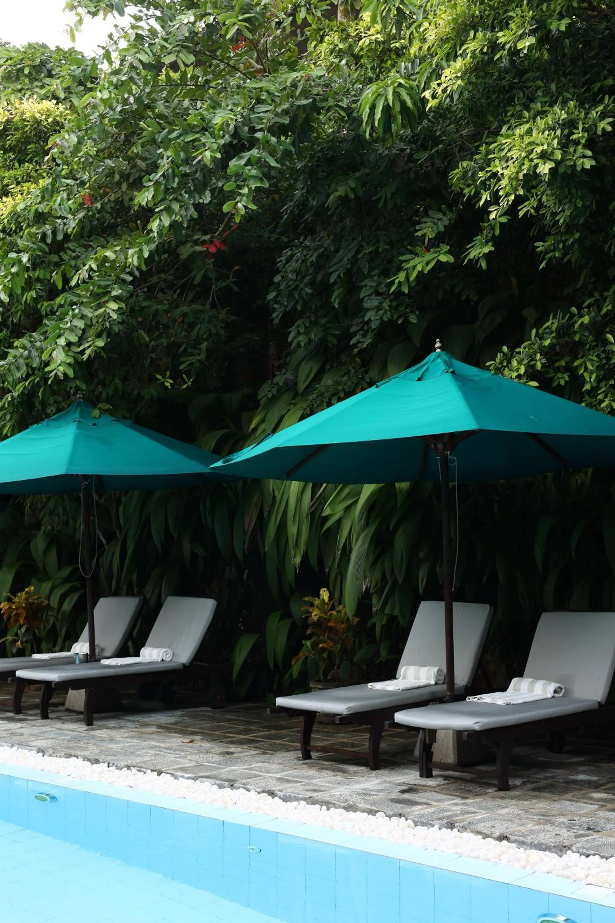 Swimming pool in Villa SPACE