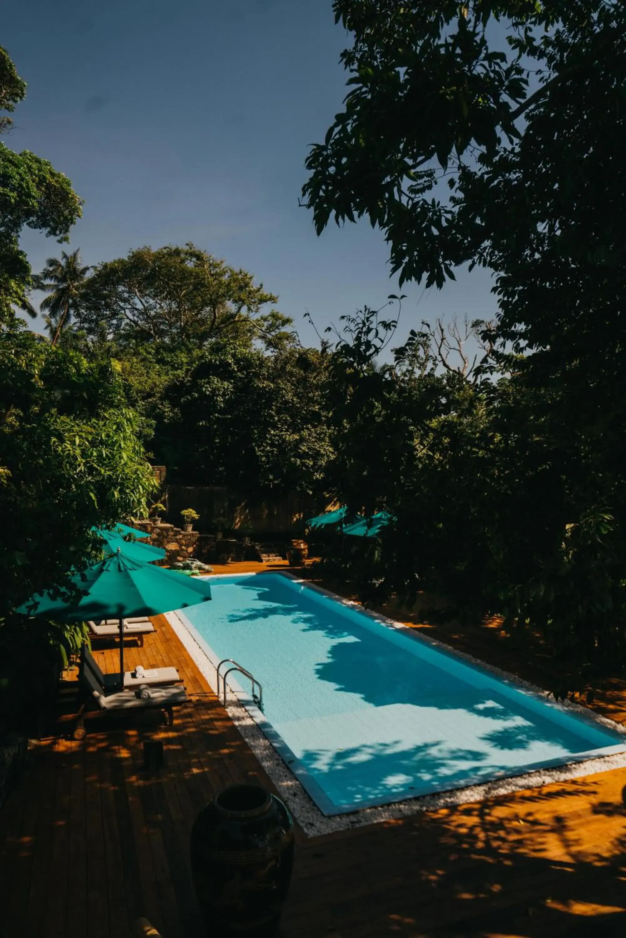 Pool view in Villa SPACE Pool view in Villa SPACE