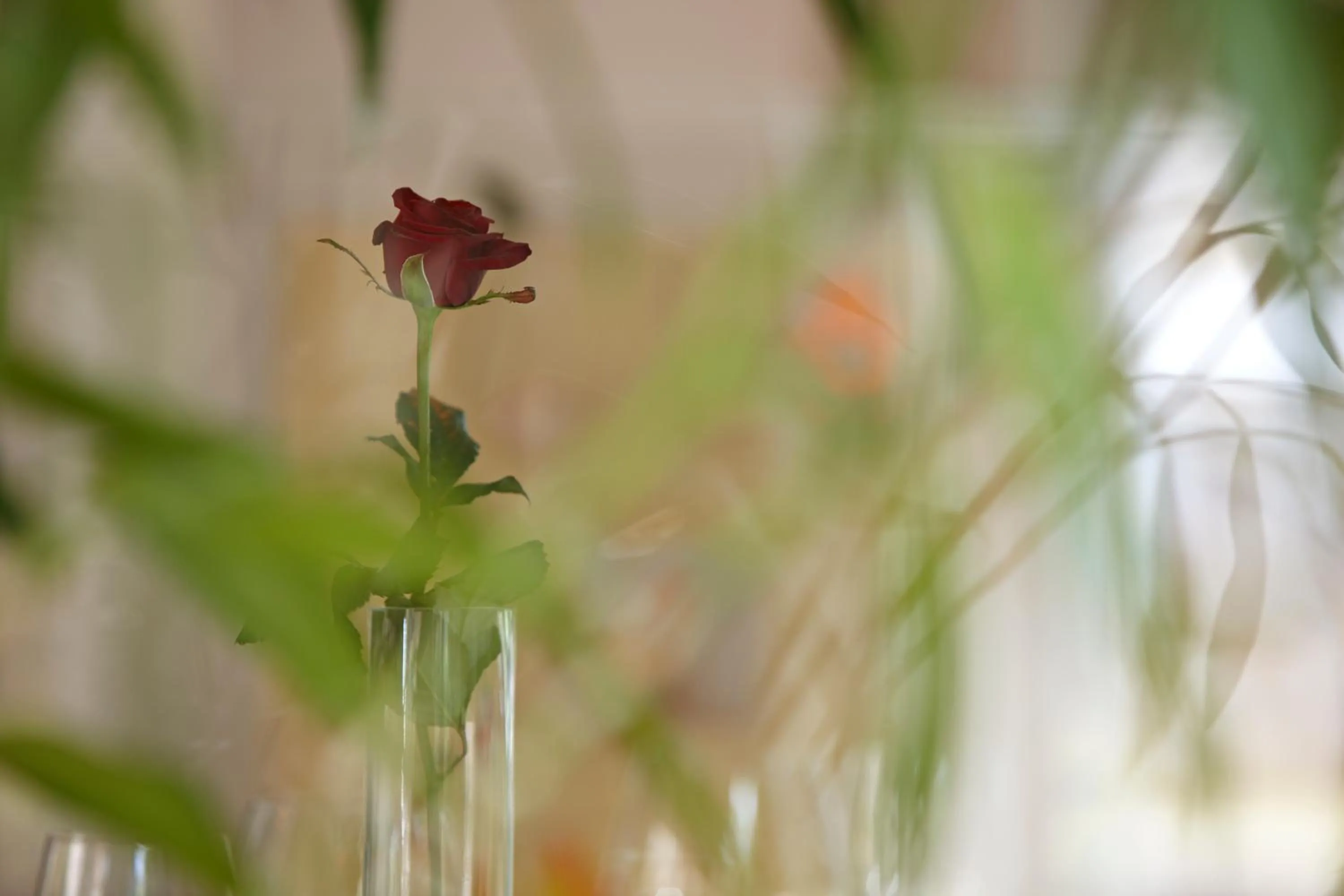 Decorative detail in Hotel Restaurant Rössli