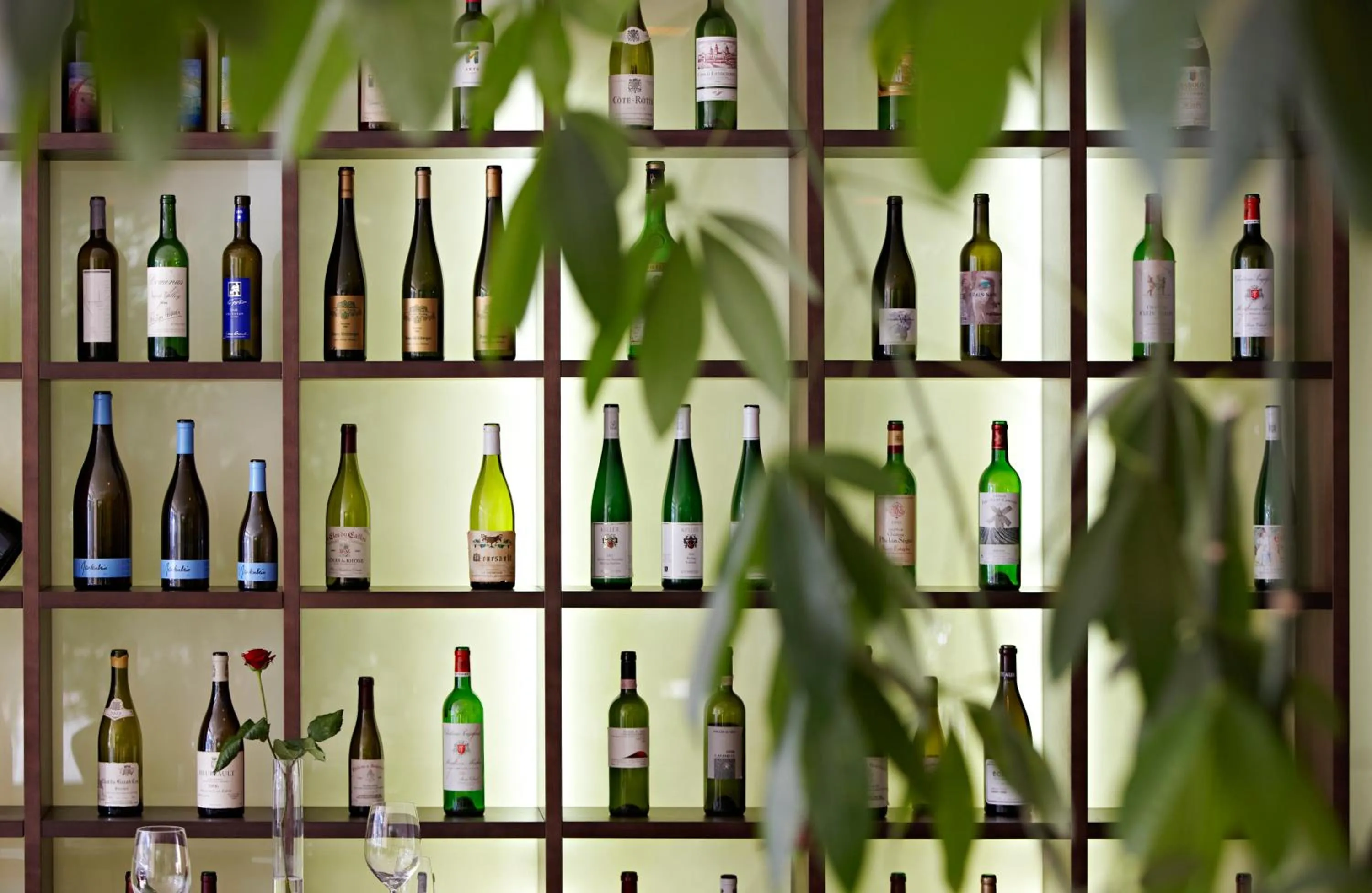 Food and drinks in Hotel Restaurant Rössli