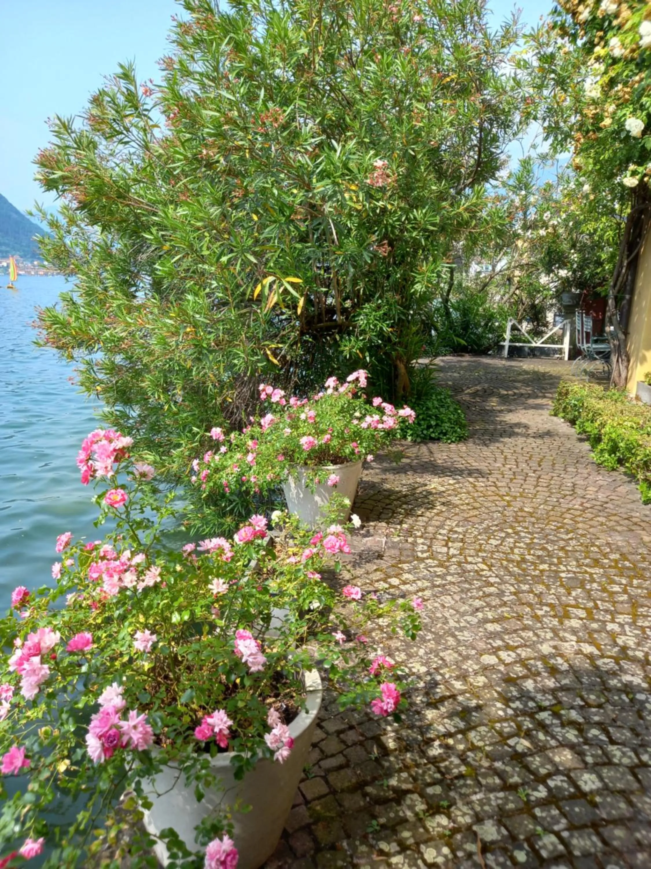 L'Oleandro sul Lago d'Iseo B&B