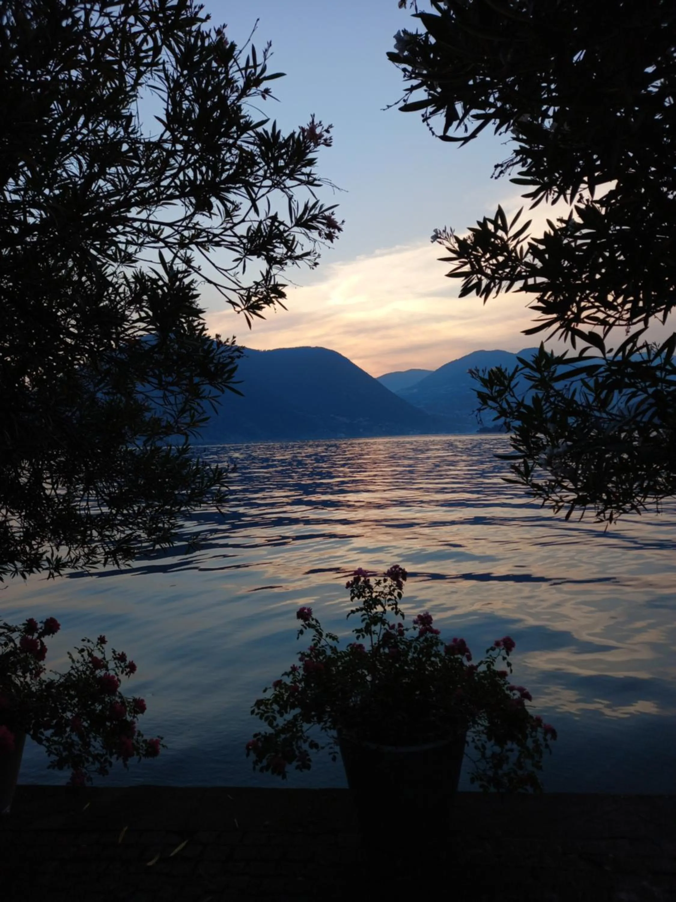 L'Oleandro sul Lago d'Iseo B&B