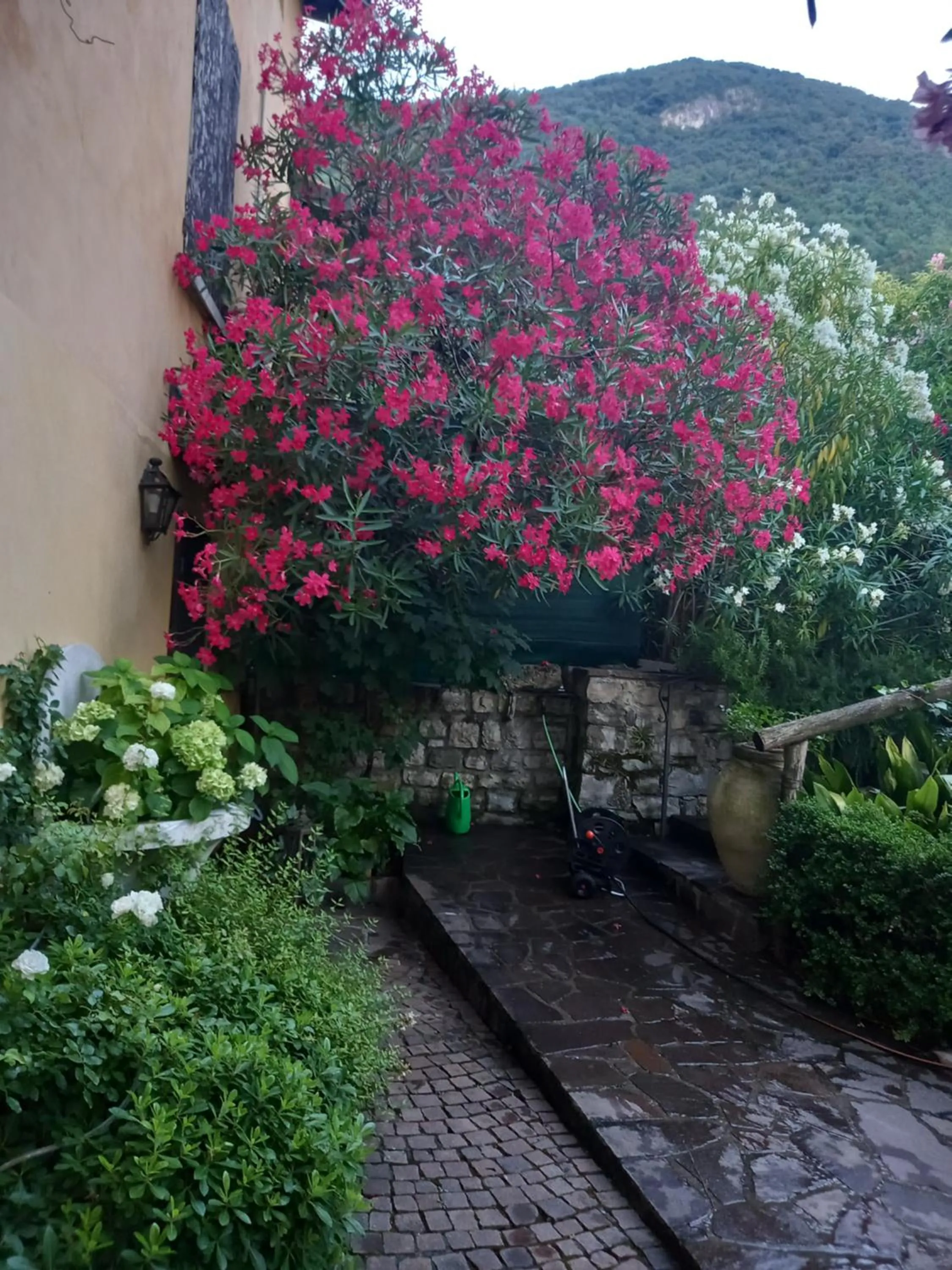 L'Oleandro sul Lago d'Iseo B&B