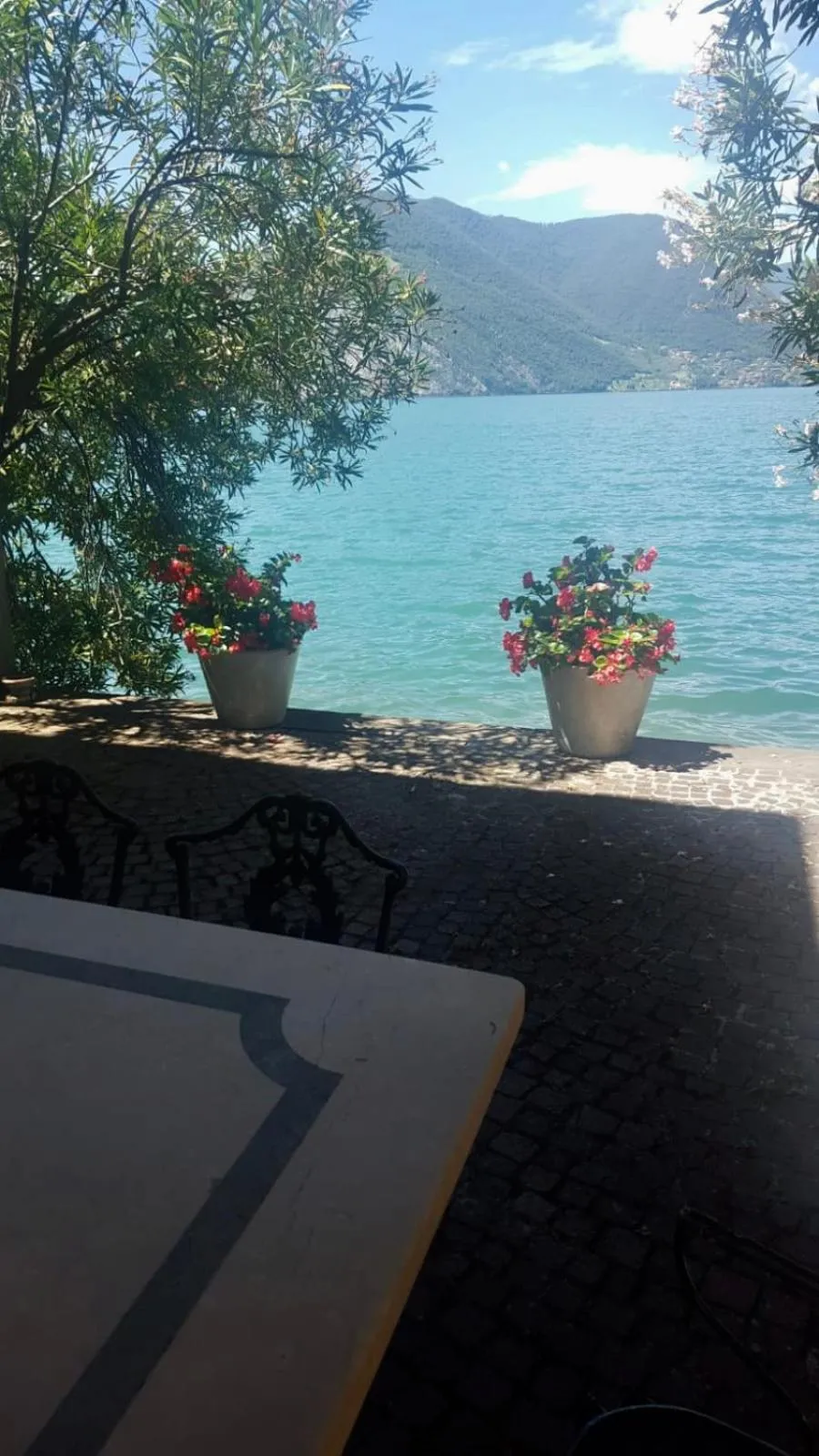 L'Oleandro sul Lago d'Iseo B&B