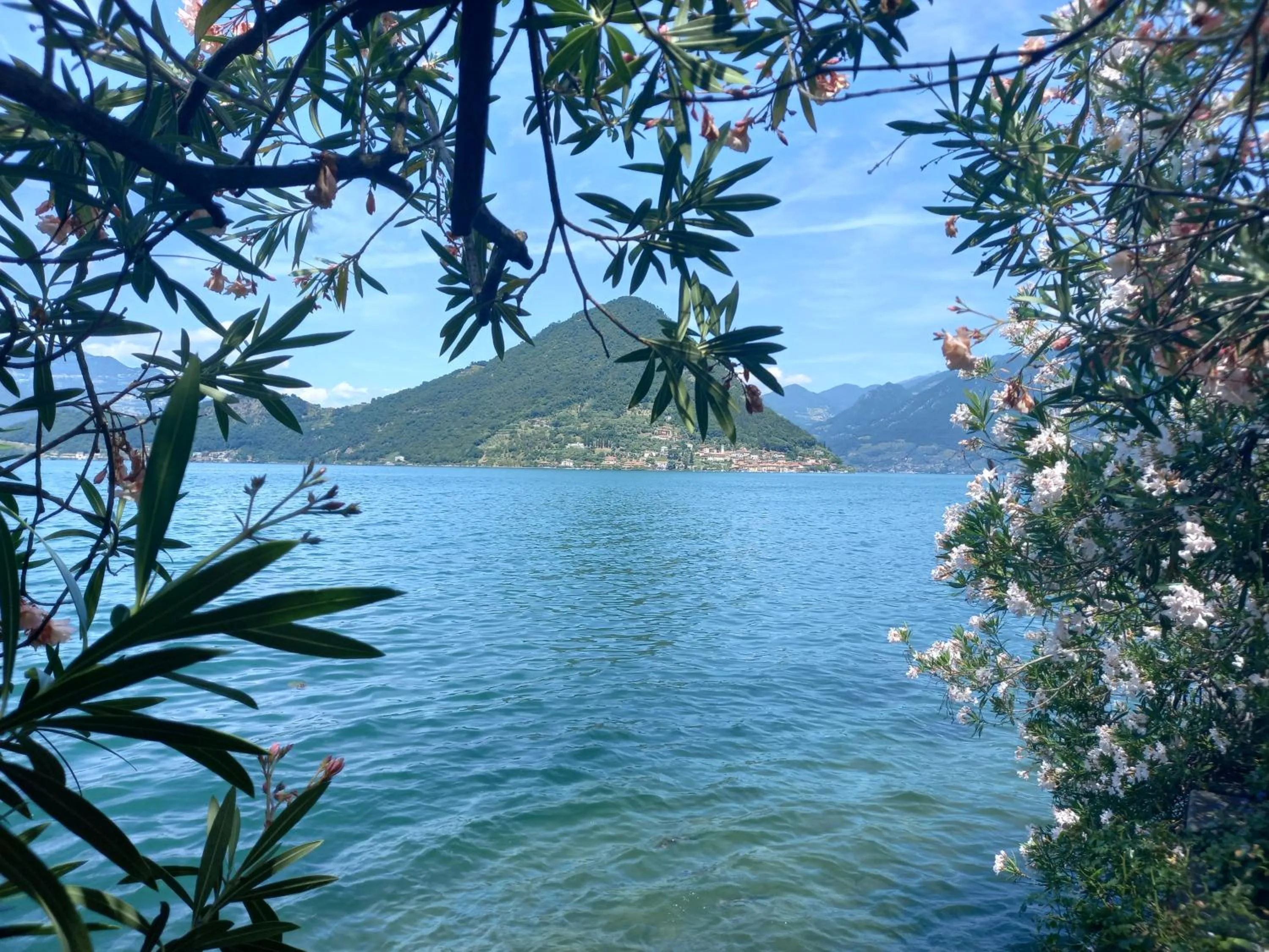 L'Oleandro sul Lago d'Iseo B&B