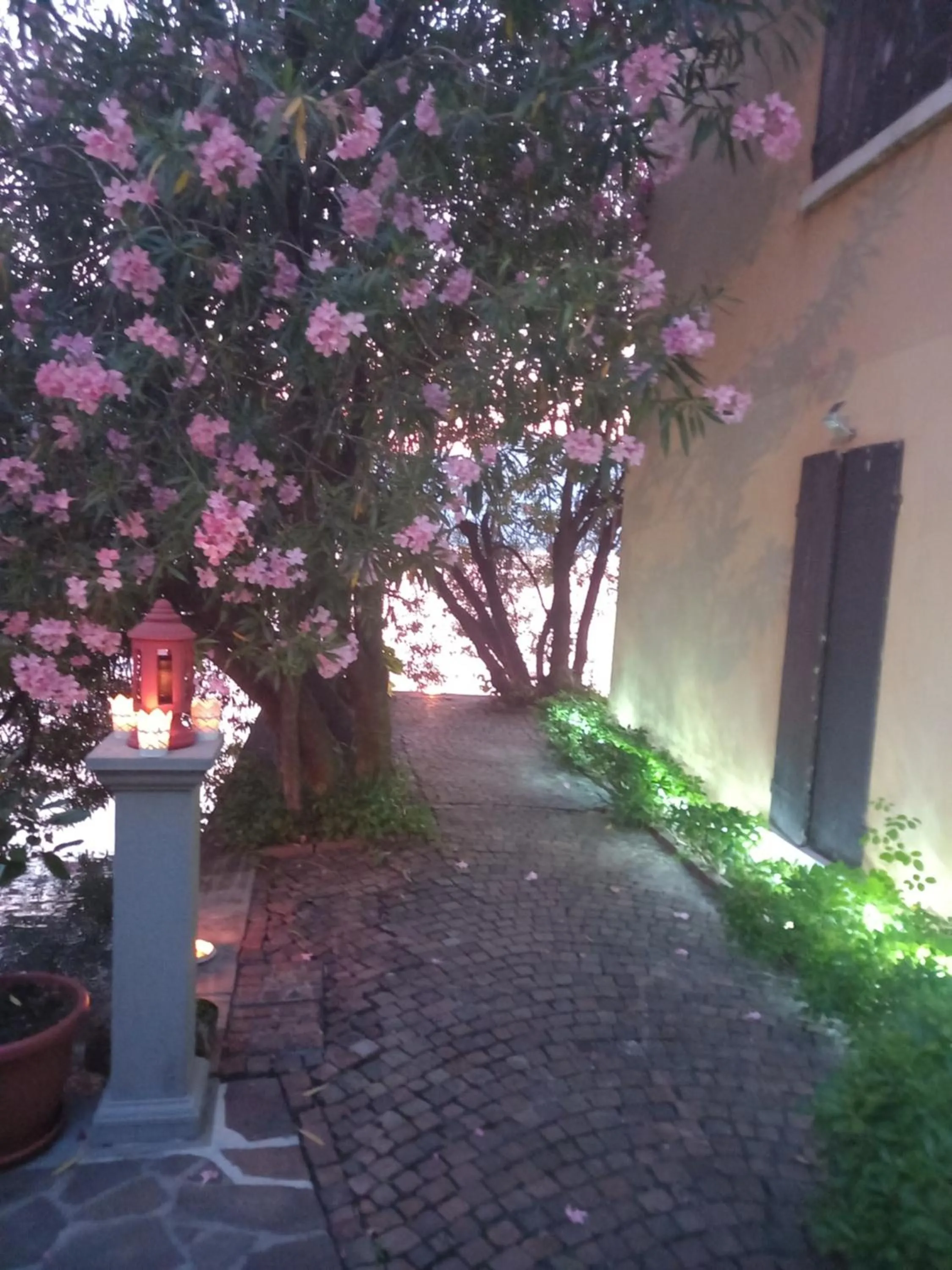 L'Oleandro sul Lago d'Iseo B&B