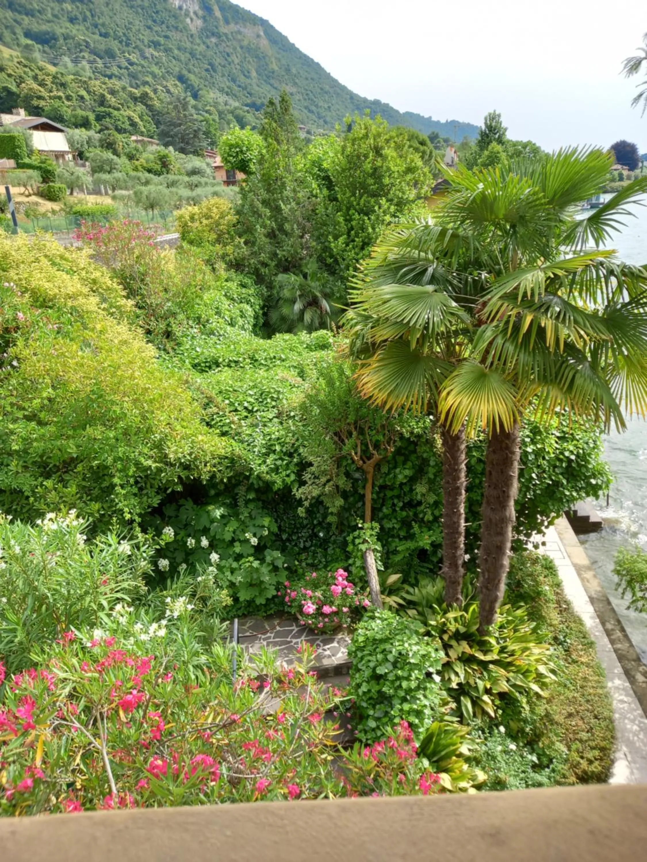 L'Oleandro sul Lago d'Iseo B&B