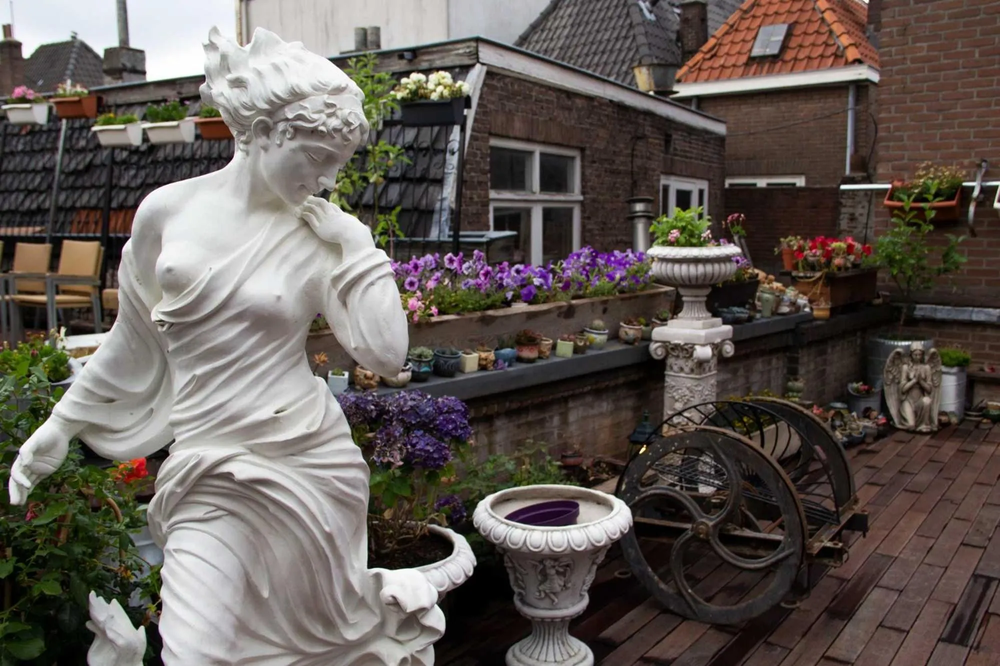 Garden in Hotel The Stamp