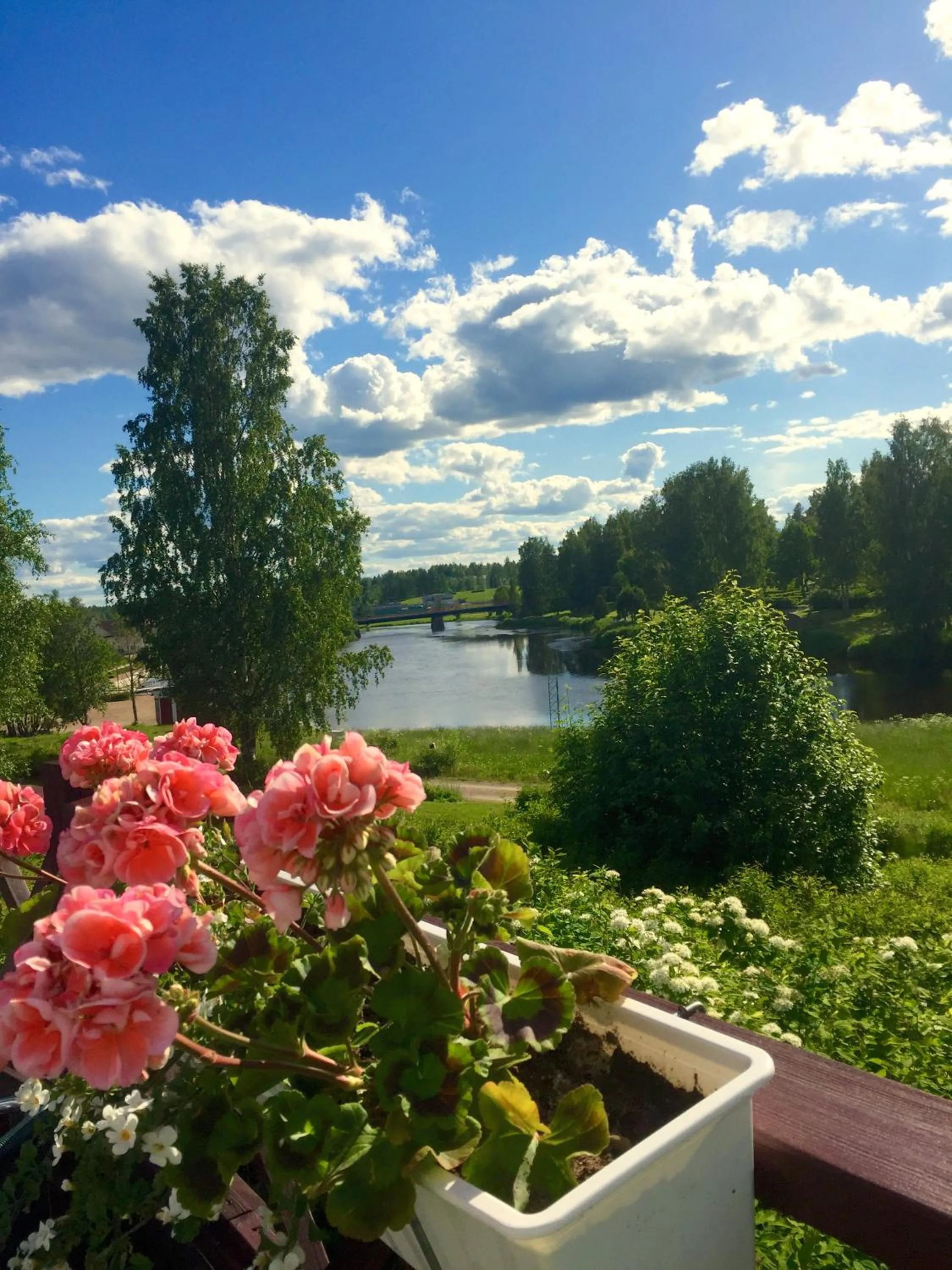 Restaurant/places to eat in Hotel Kurikka